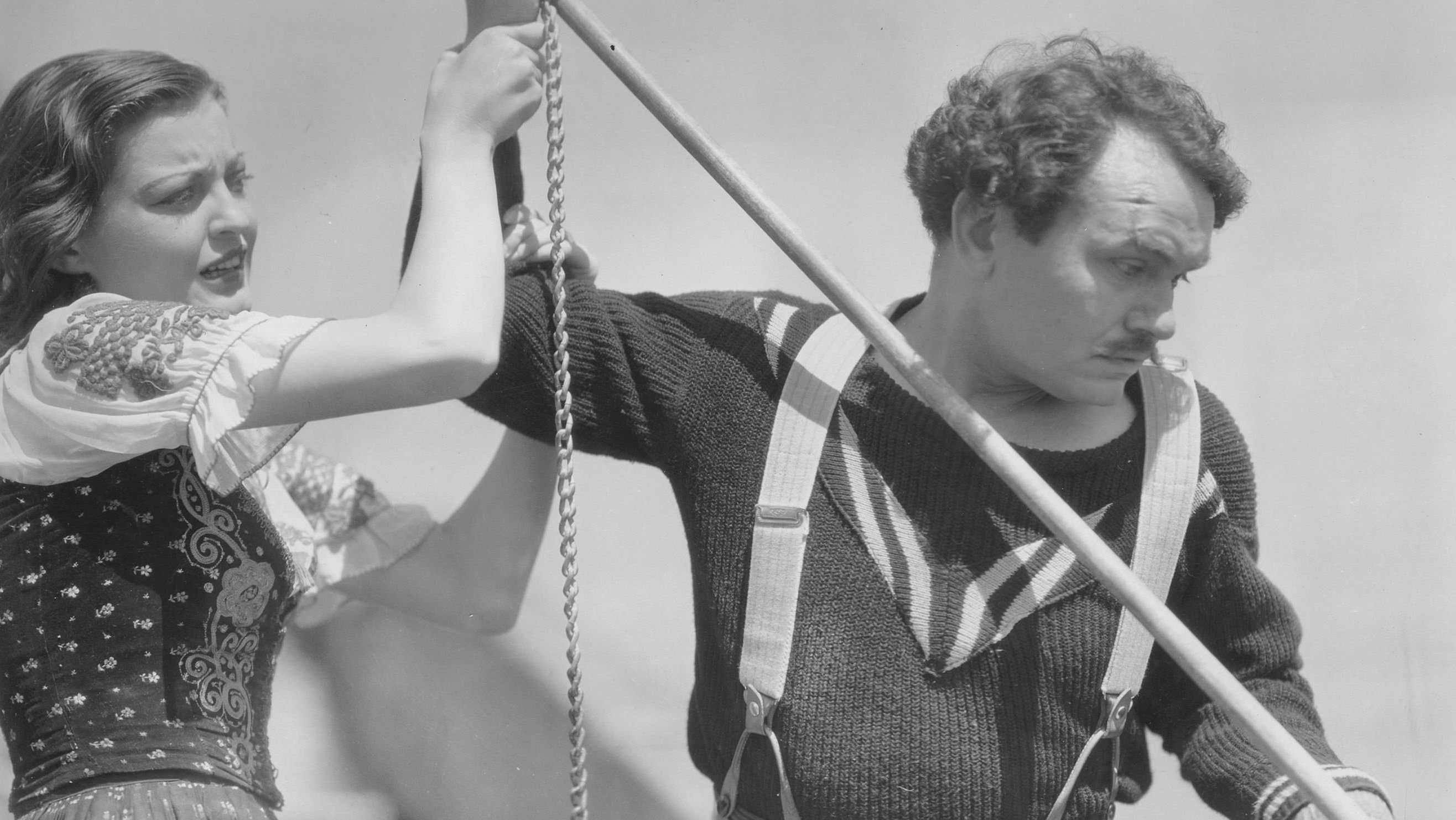 Tiger Shark Background