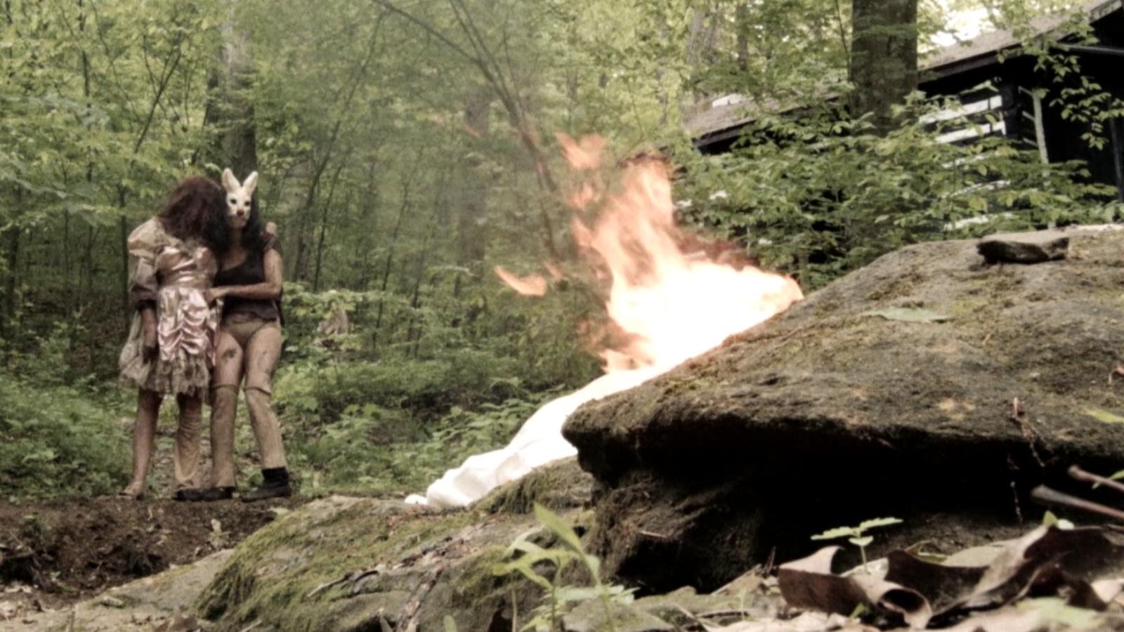 Plank Face Background