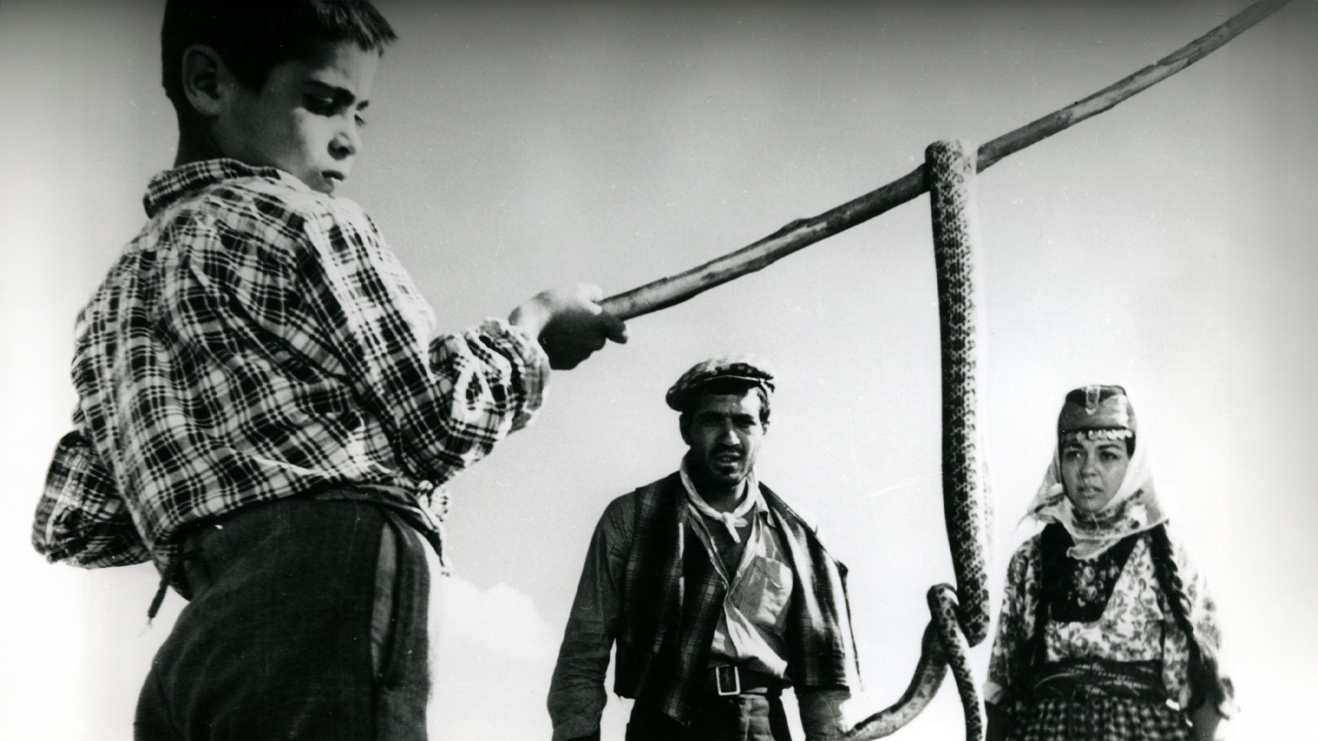 Revenge of the Snakes Background