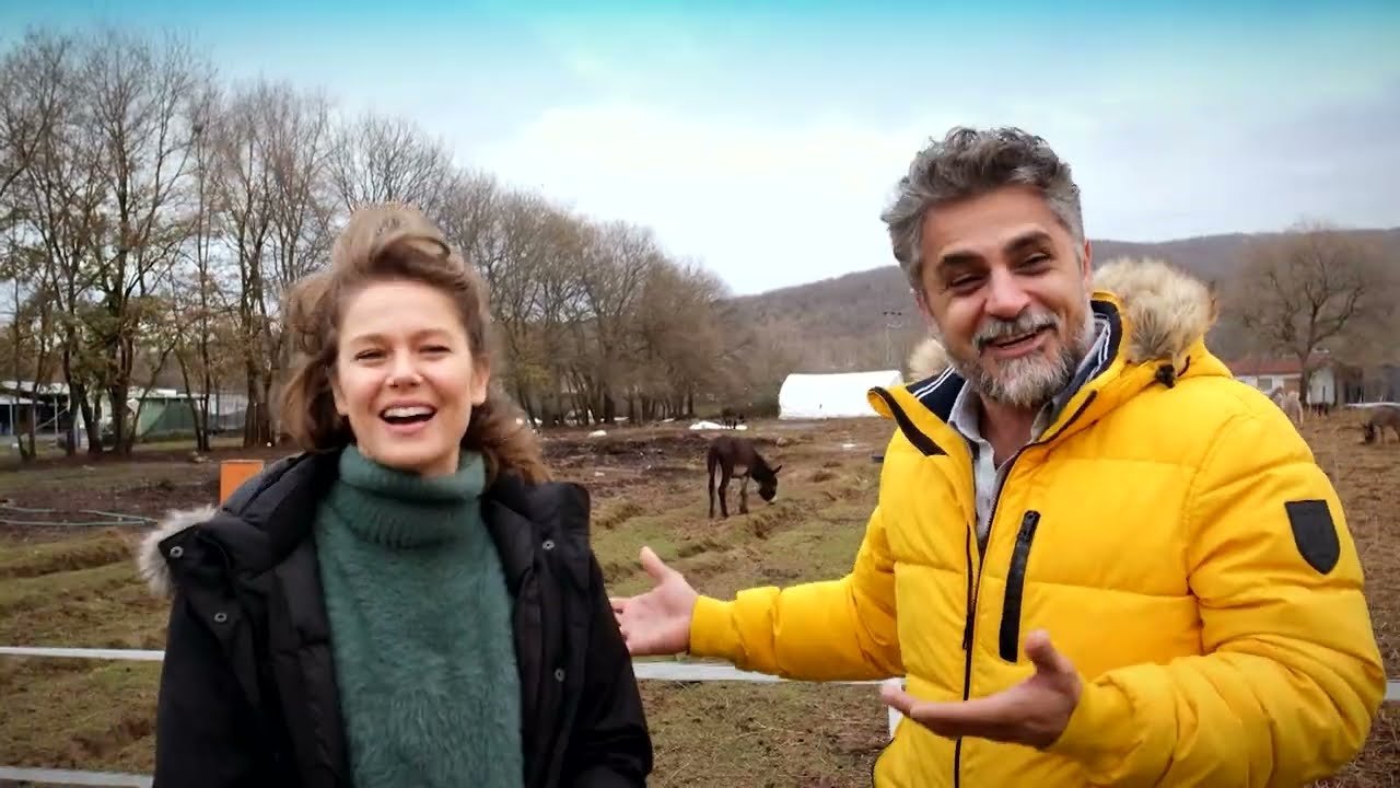 Arkadaş Canlısı Background