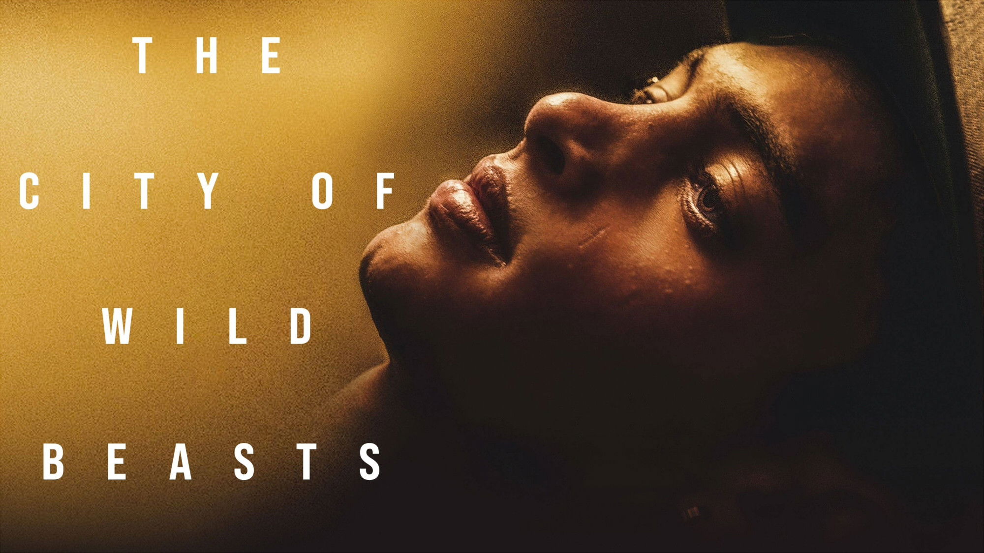 La ciudad de las fieras Background
