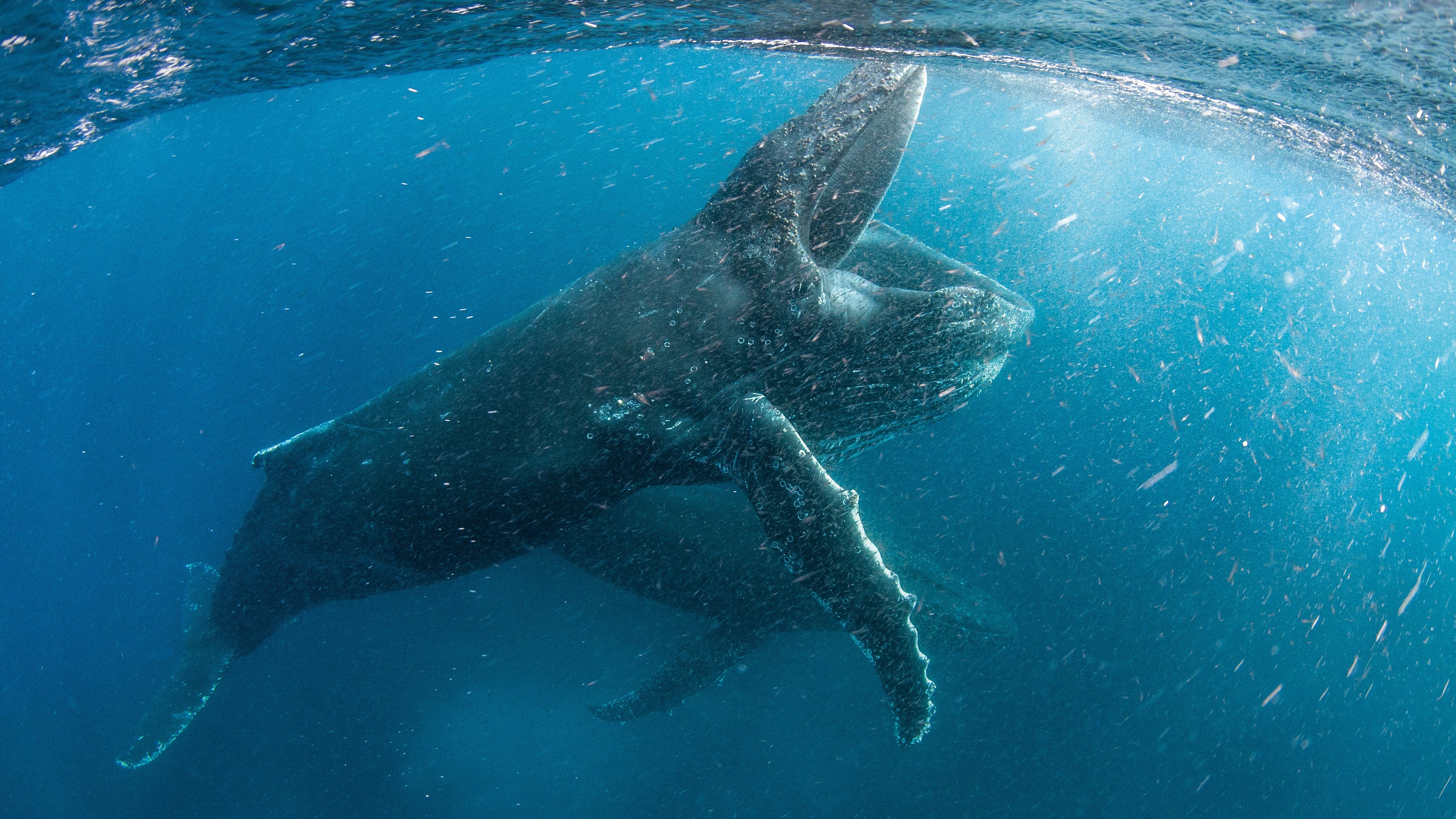 Our Planet Background