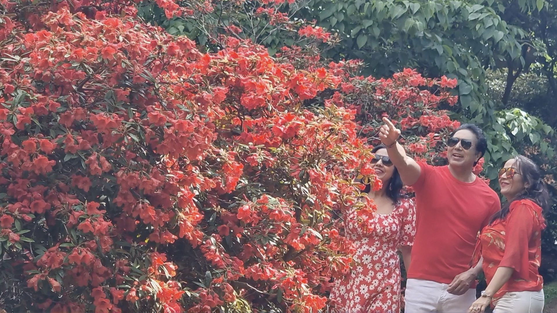 Virginia Water Lake Background