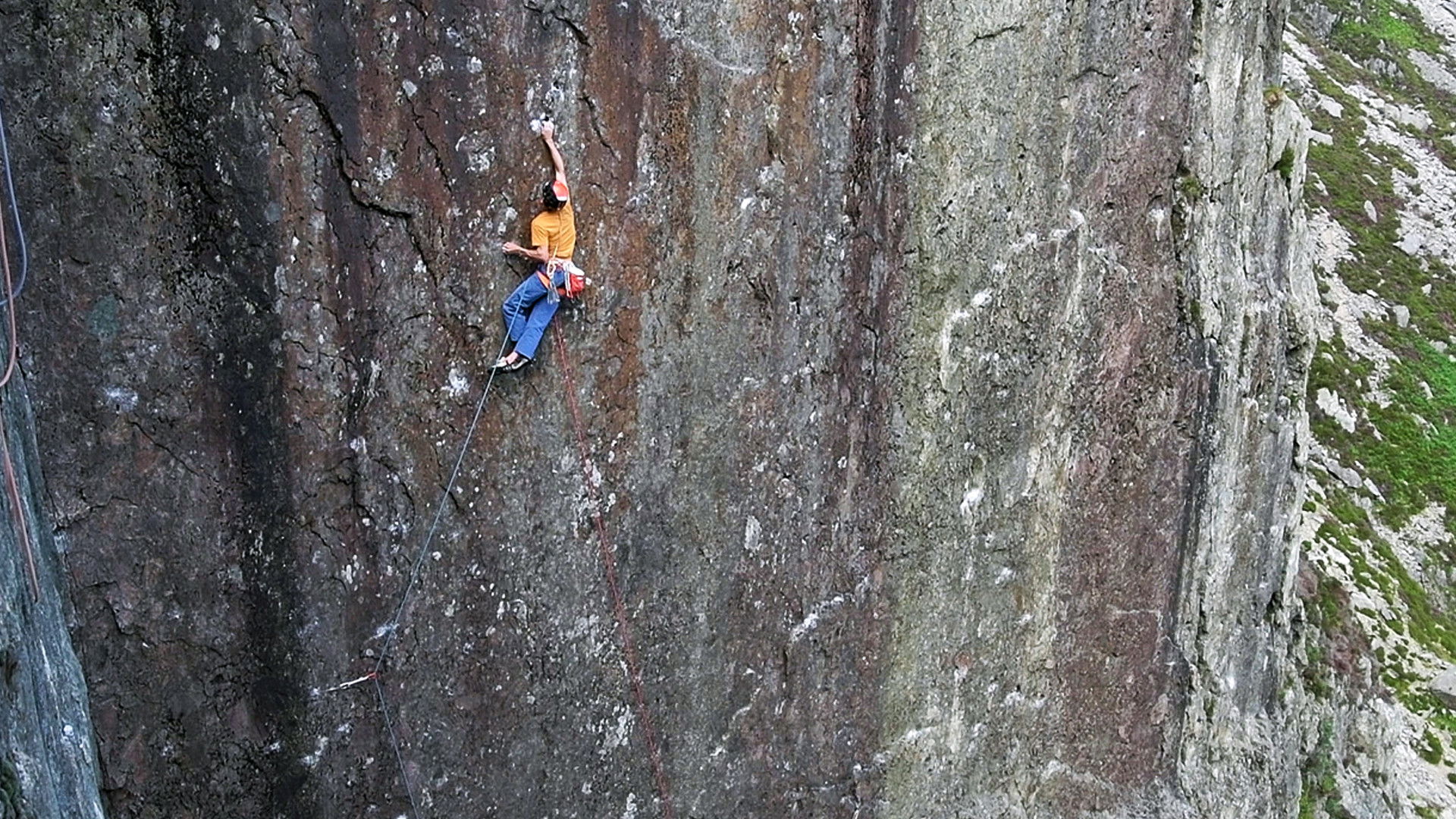 Nightmayer Background