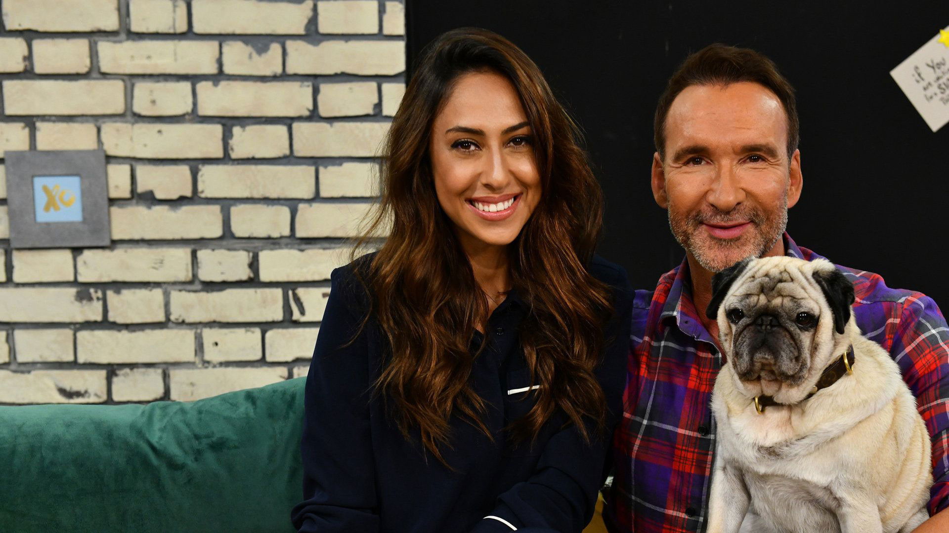 Promi Big Brother - Die Late Night Show Background