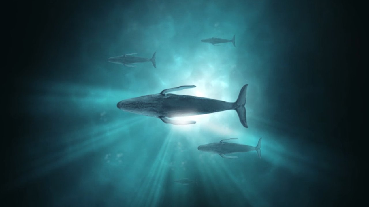 Sonic Sea Background