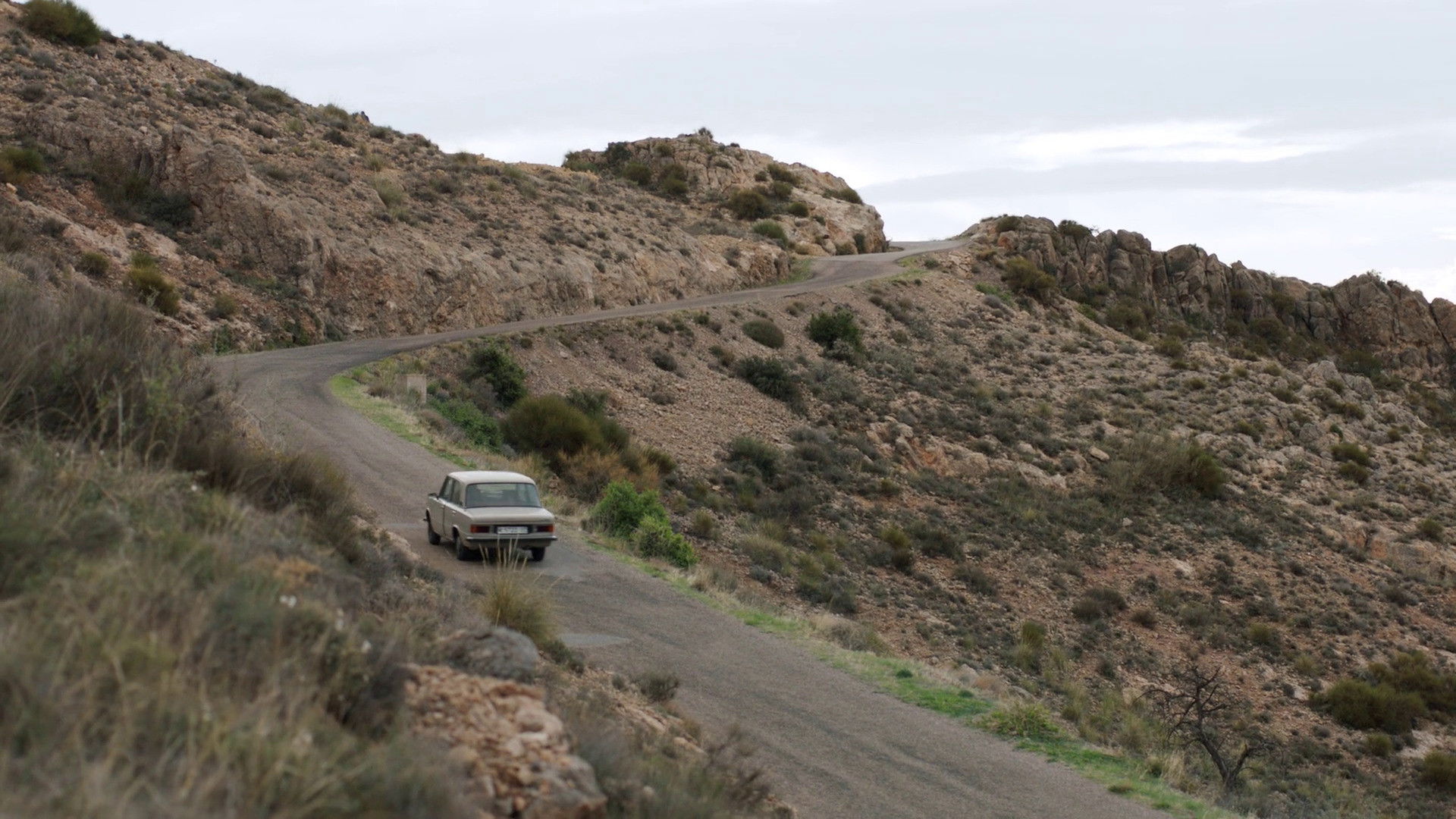 Bajo la palmera Background