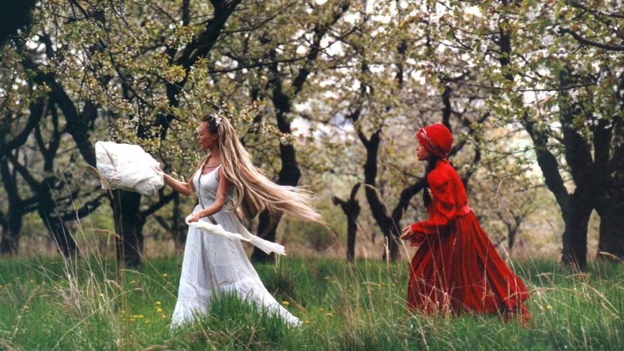 Wild Flowers Background