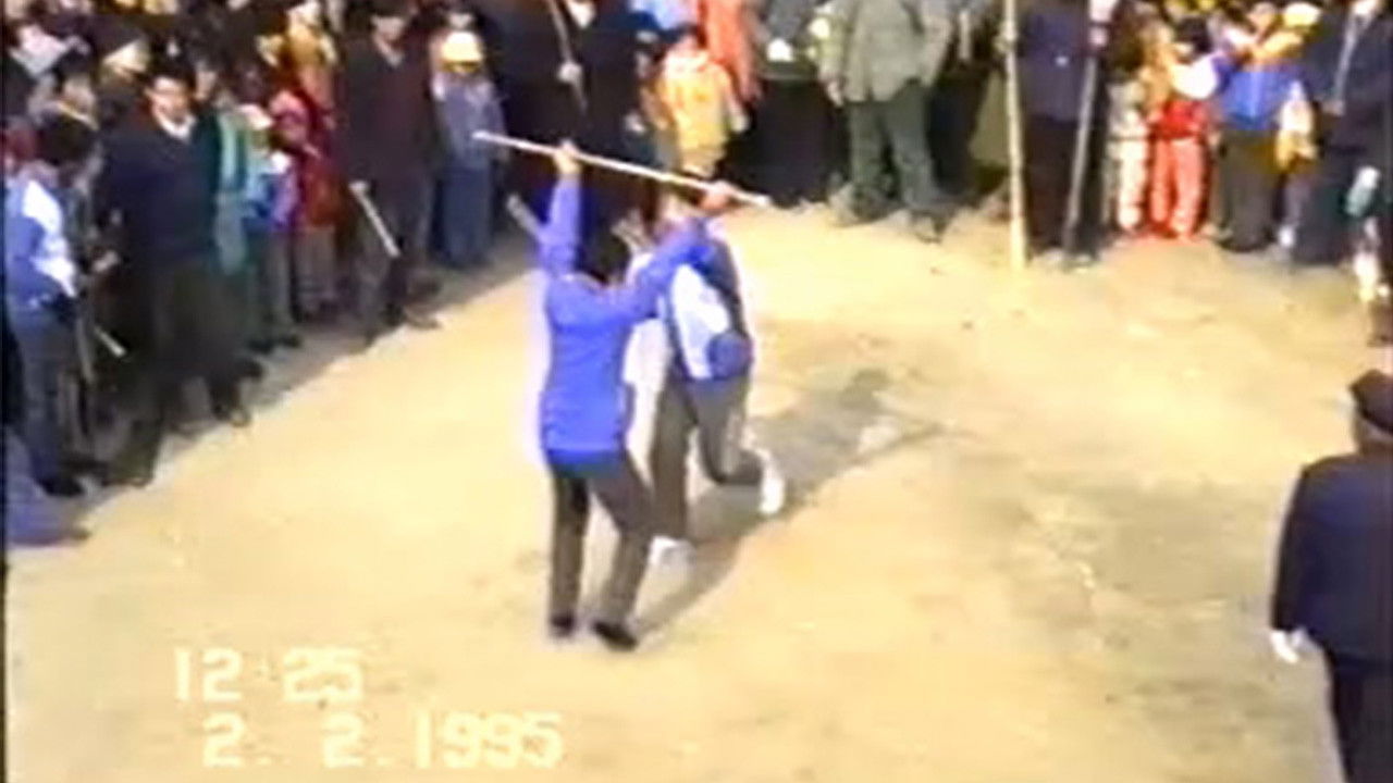 1995年2月2日民间举办迎喜花会 Background