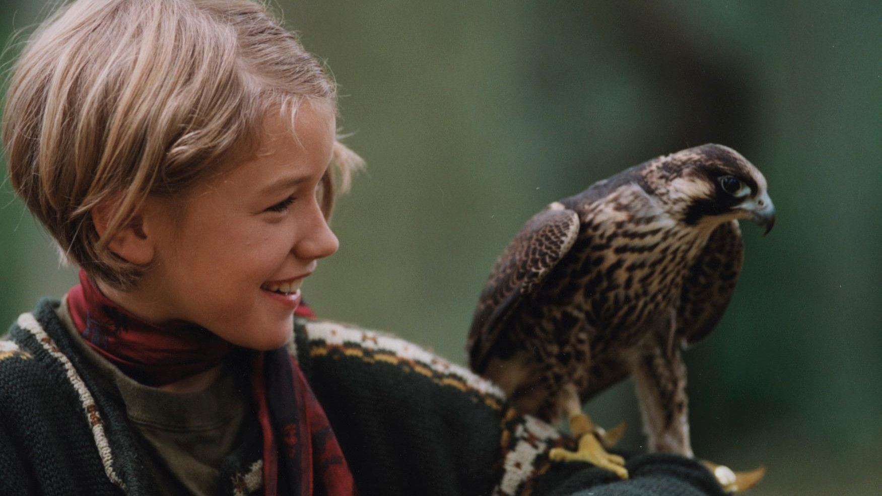 Katja's Adventure Background