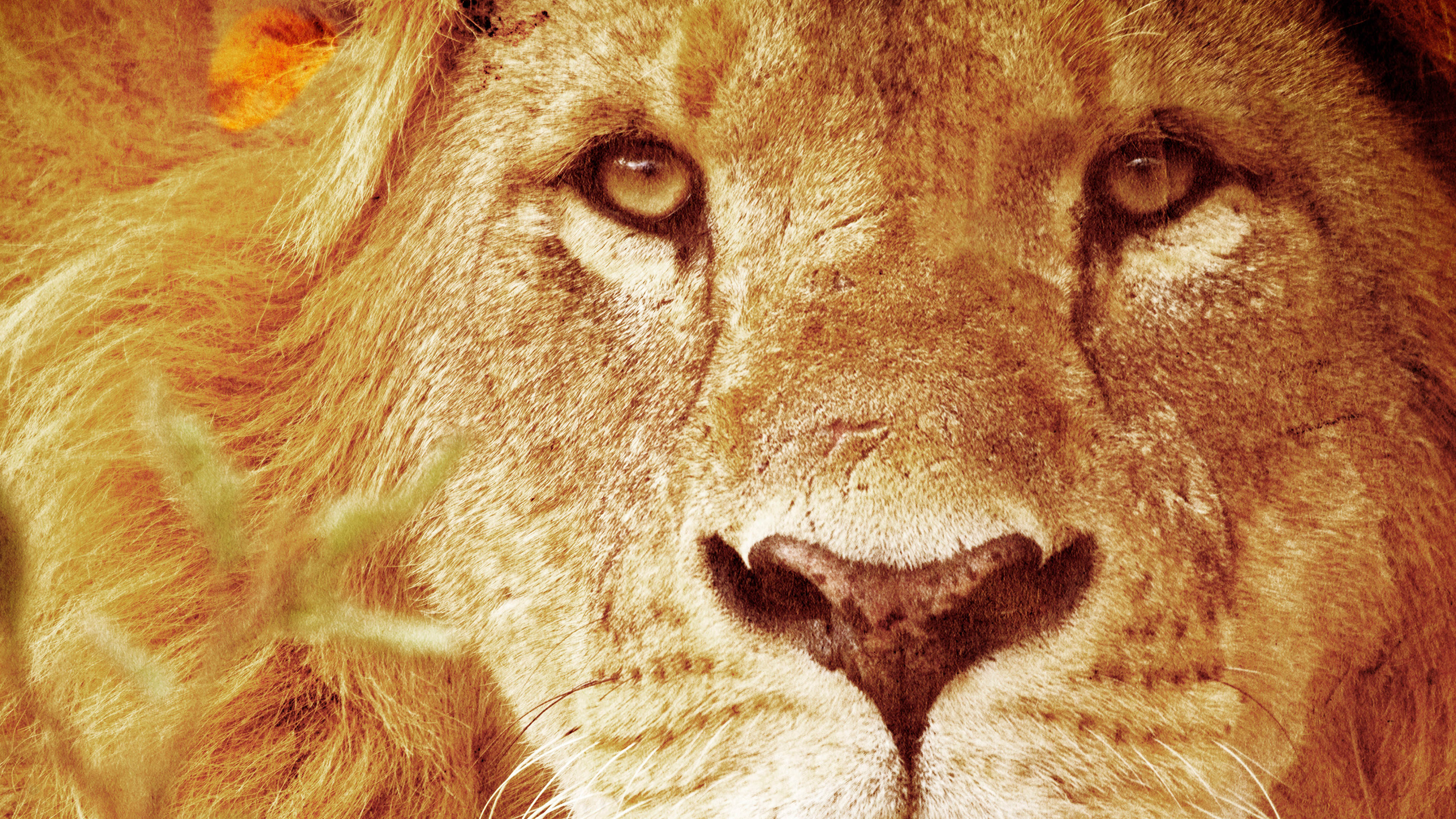 Predators Up Close with Joel Lambert Background