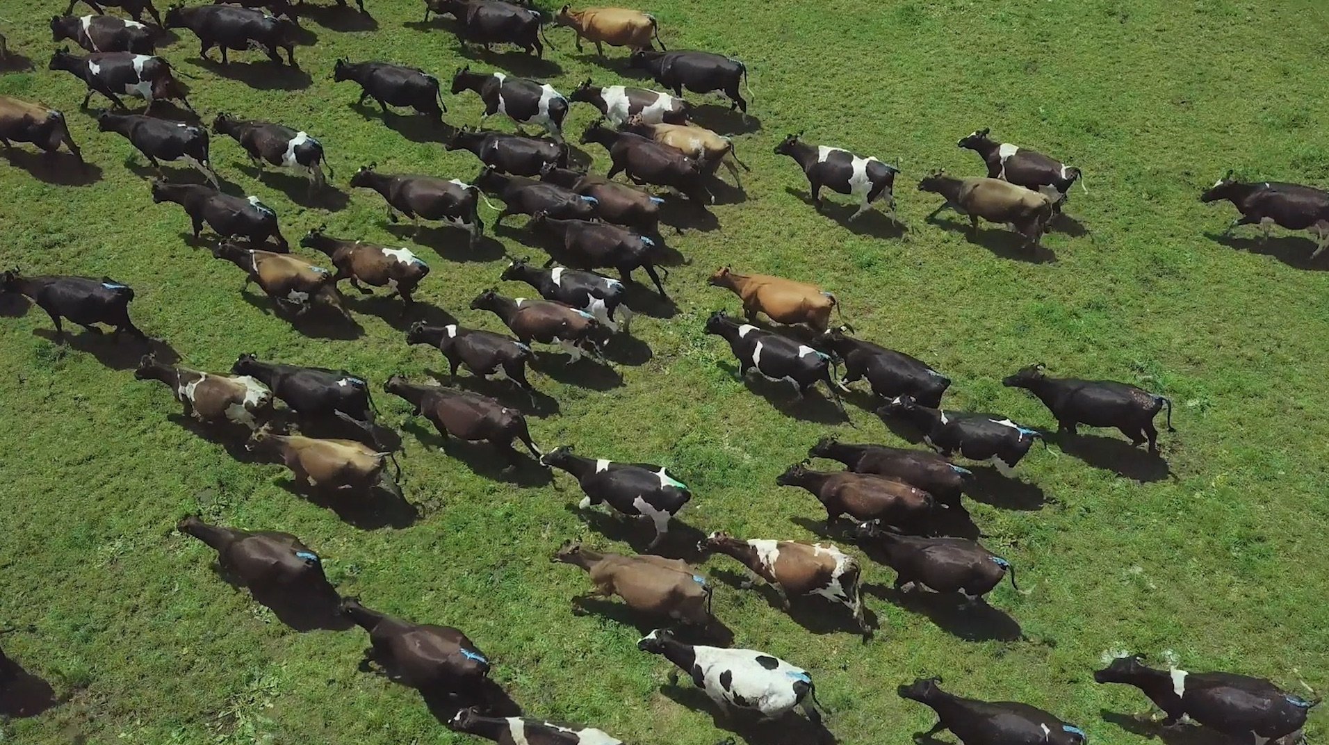 Beyond Impossible Background