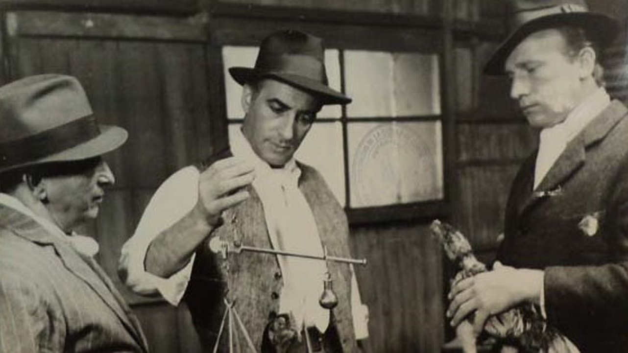 El reñidero Background