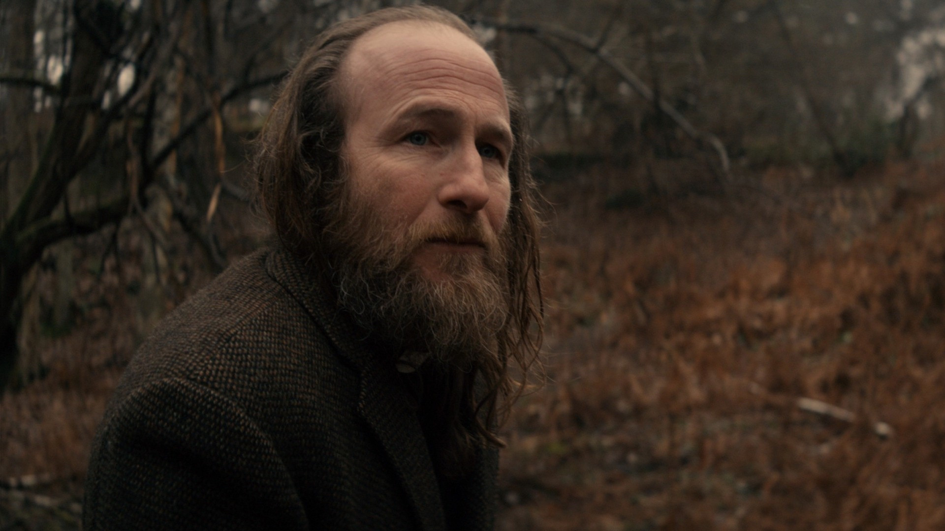 Blackwood Background