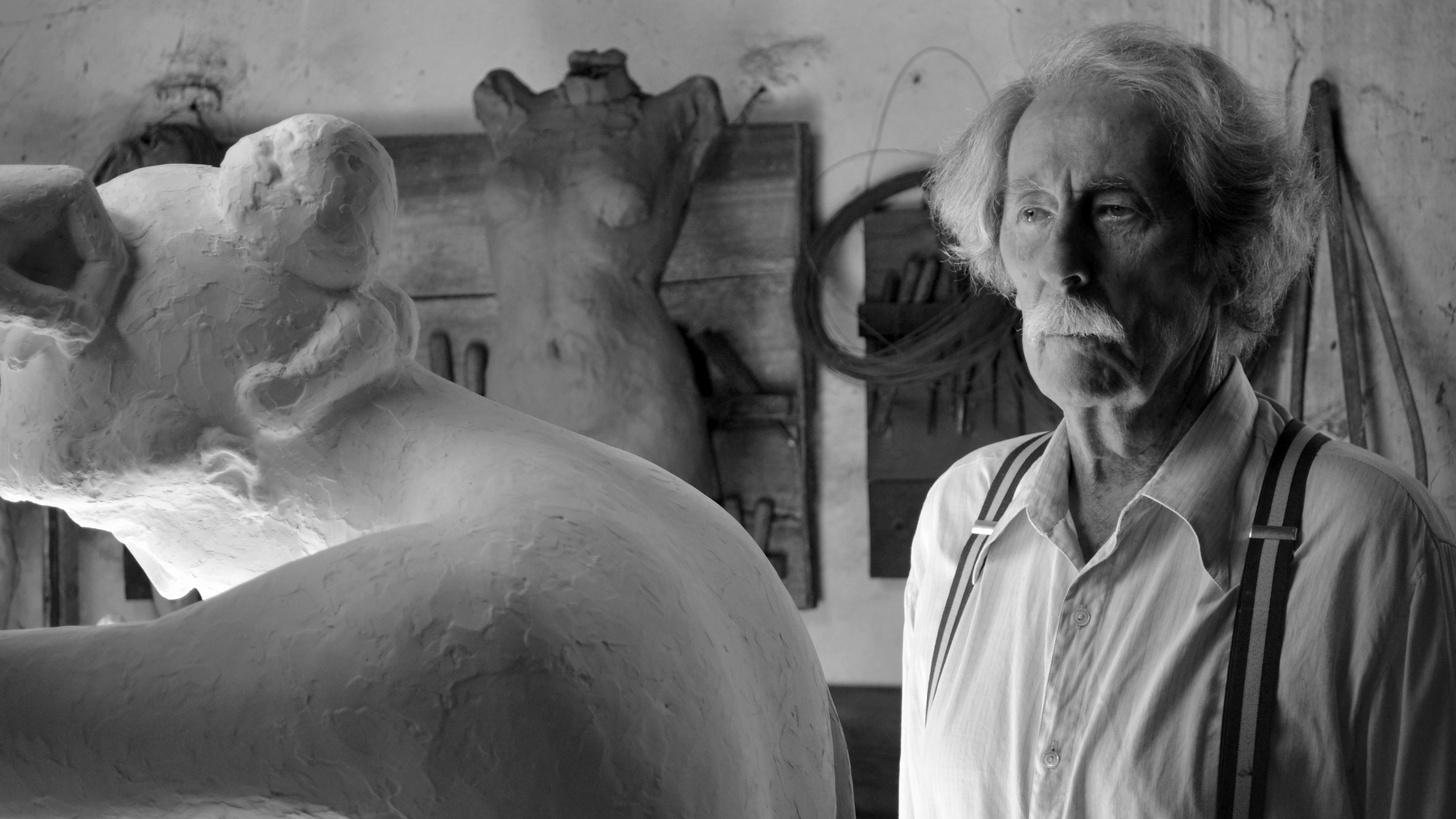 El artista y la modelo Background