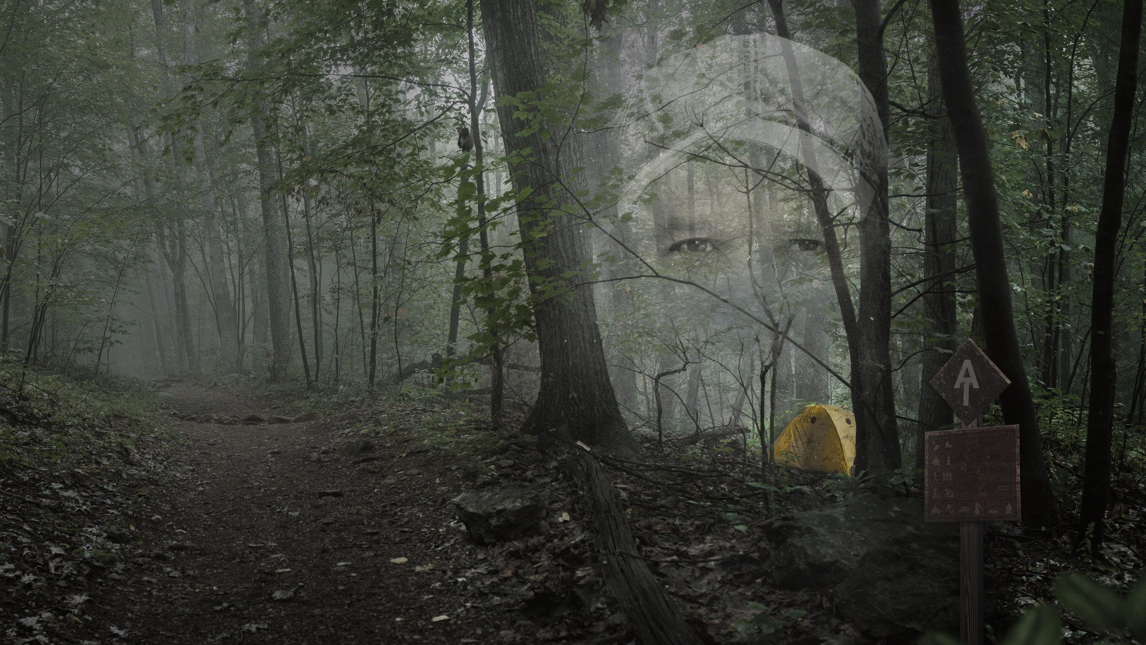 They Called Him Mostly Harmless Background