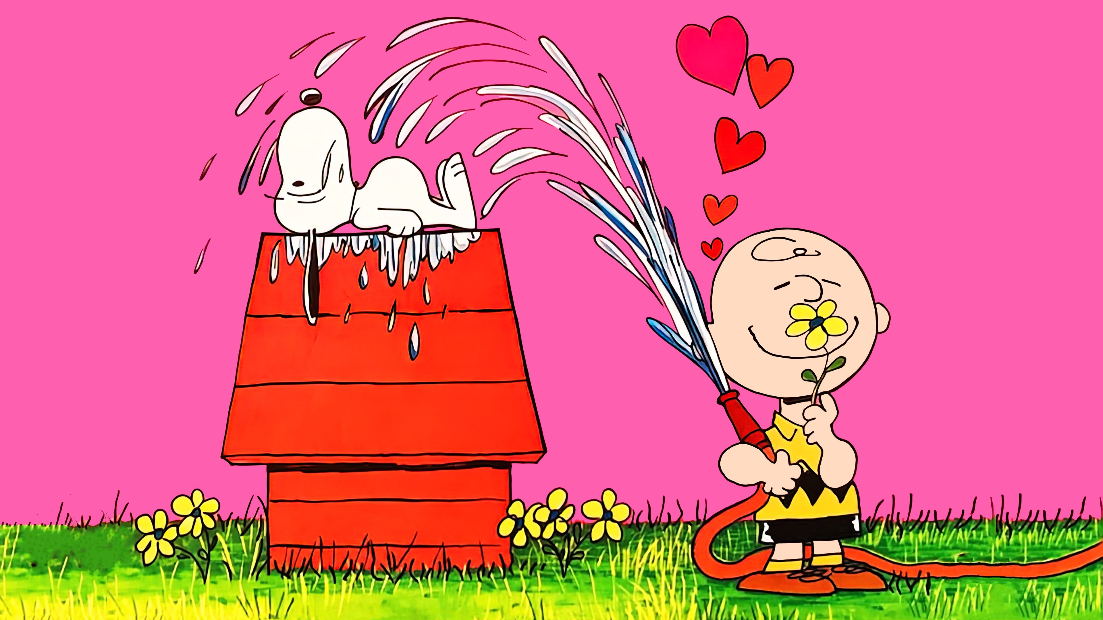 You're in Love, Charlie Brown Background