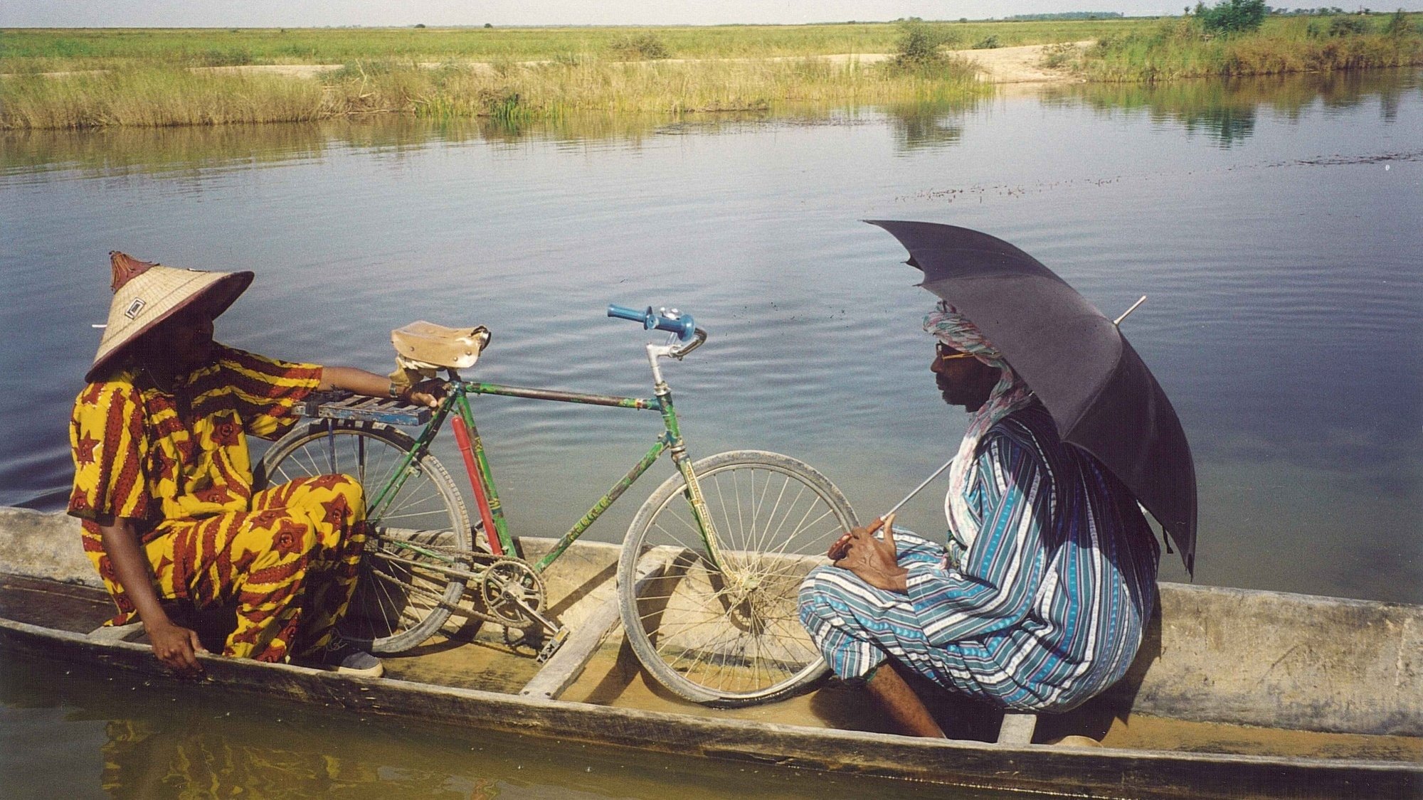 Life on Earth Background