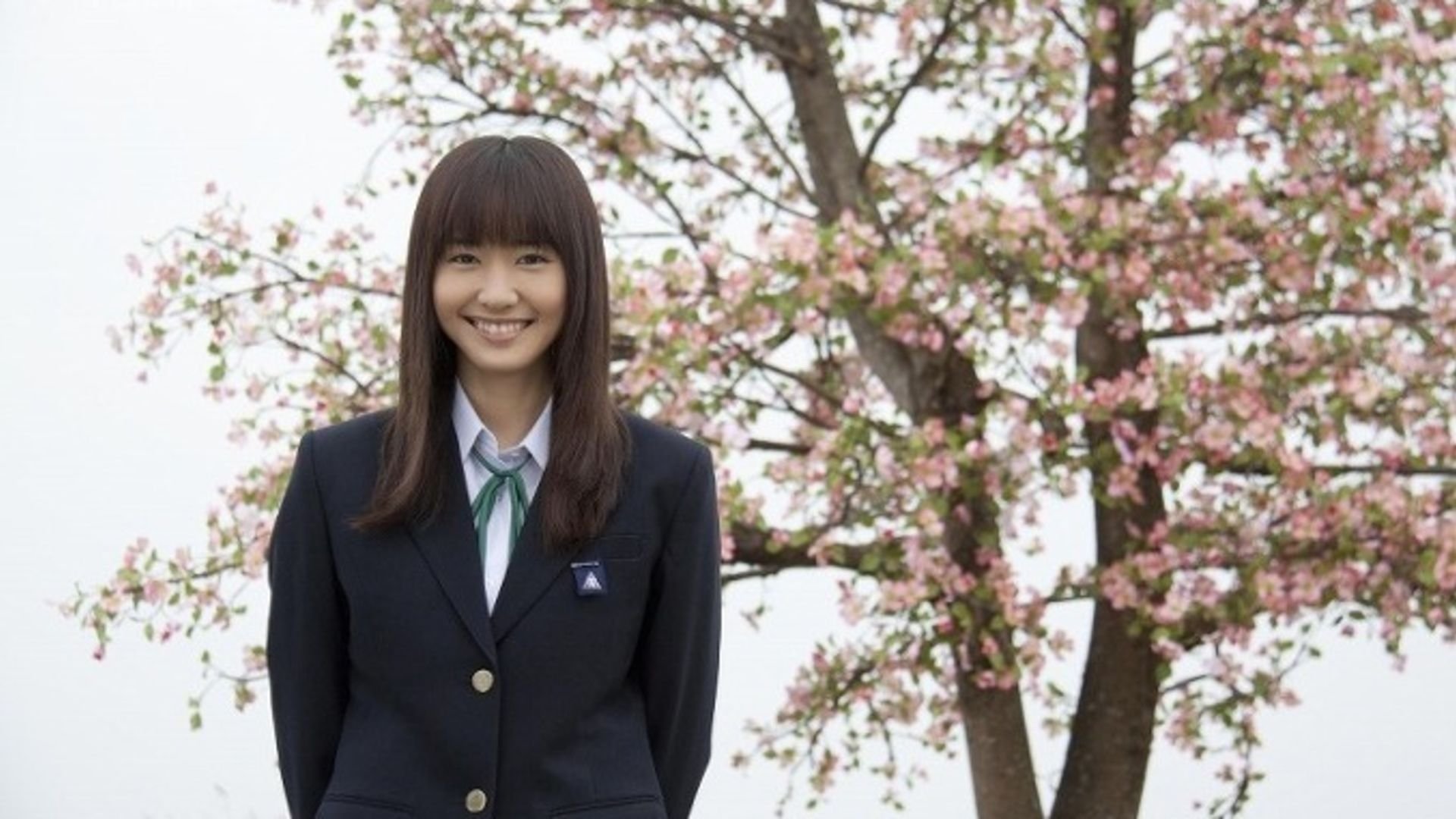 Dogwood Tree Background