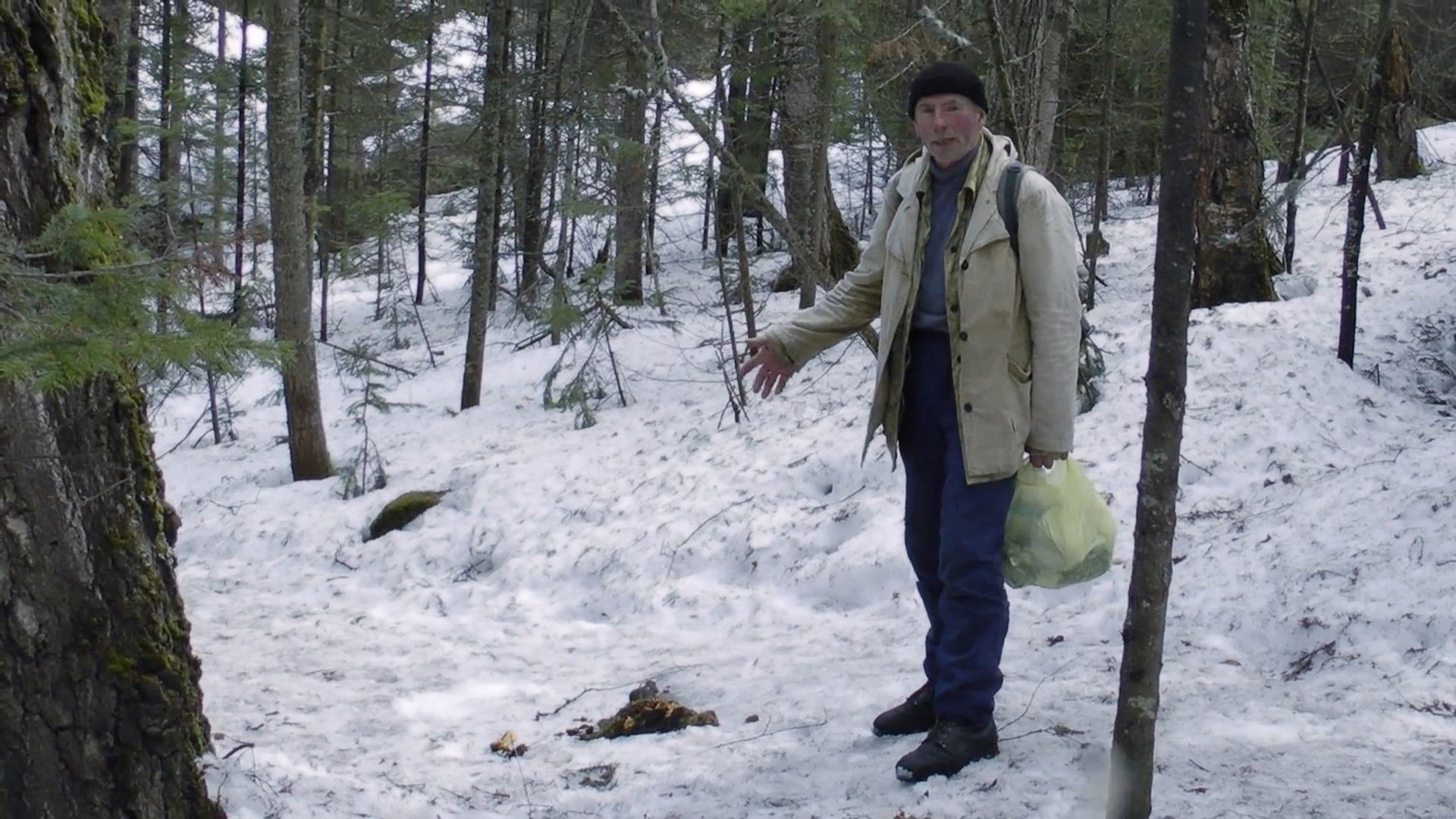 Territory Of Liberty Background