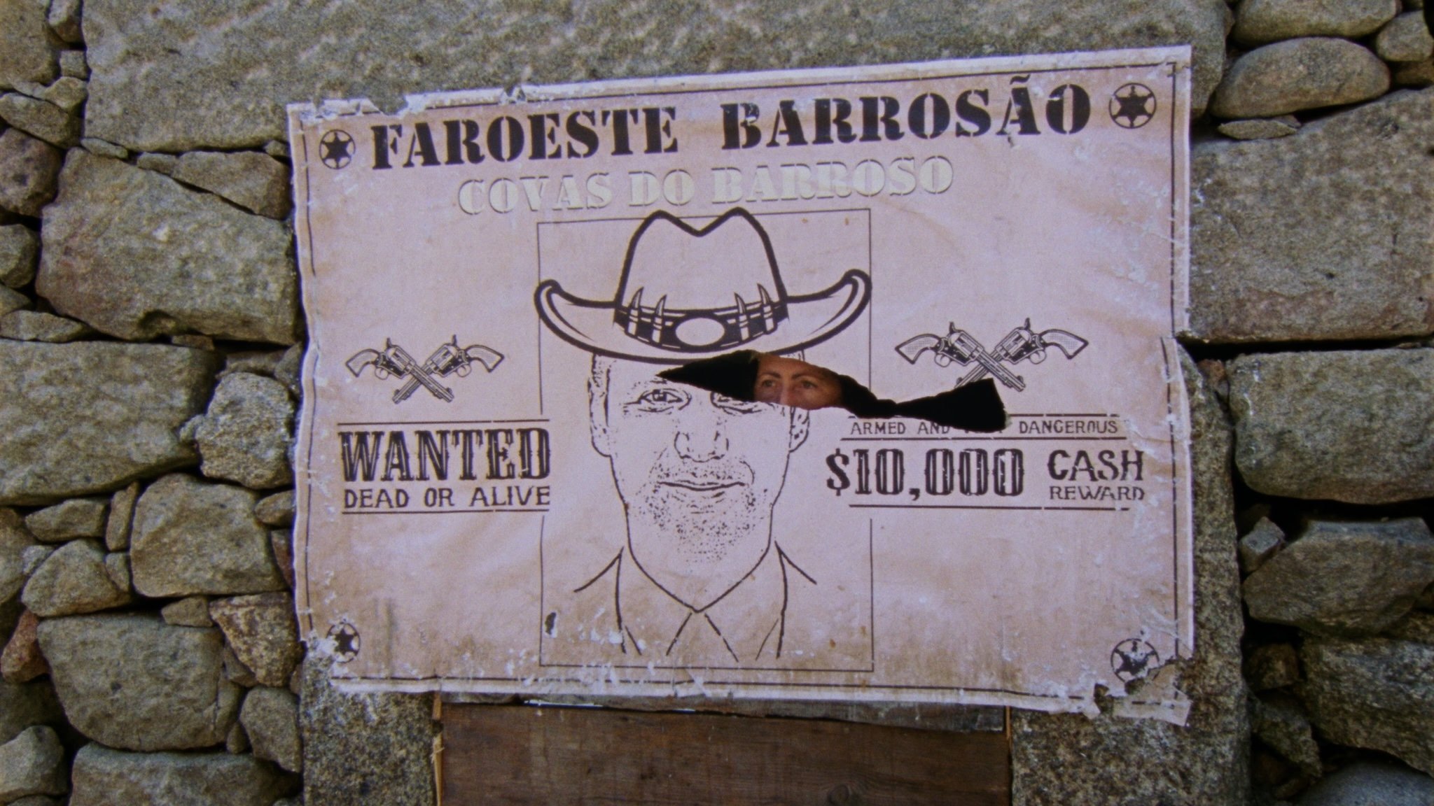 Savanna and the Mountain Background