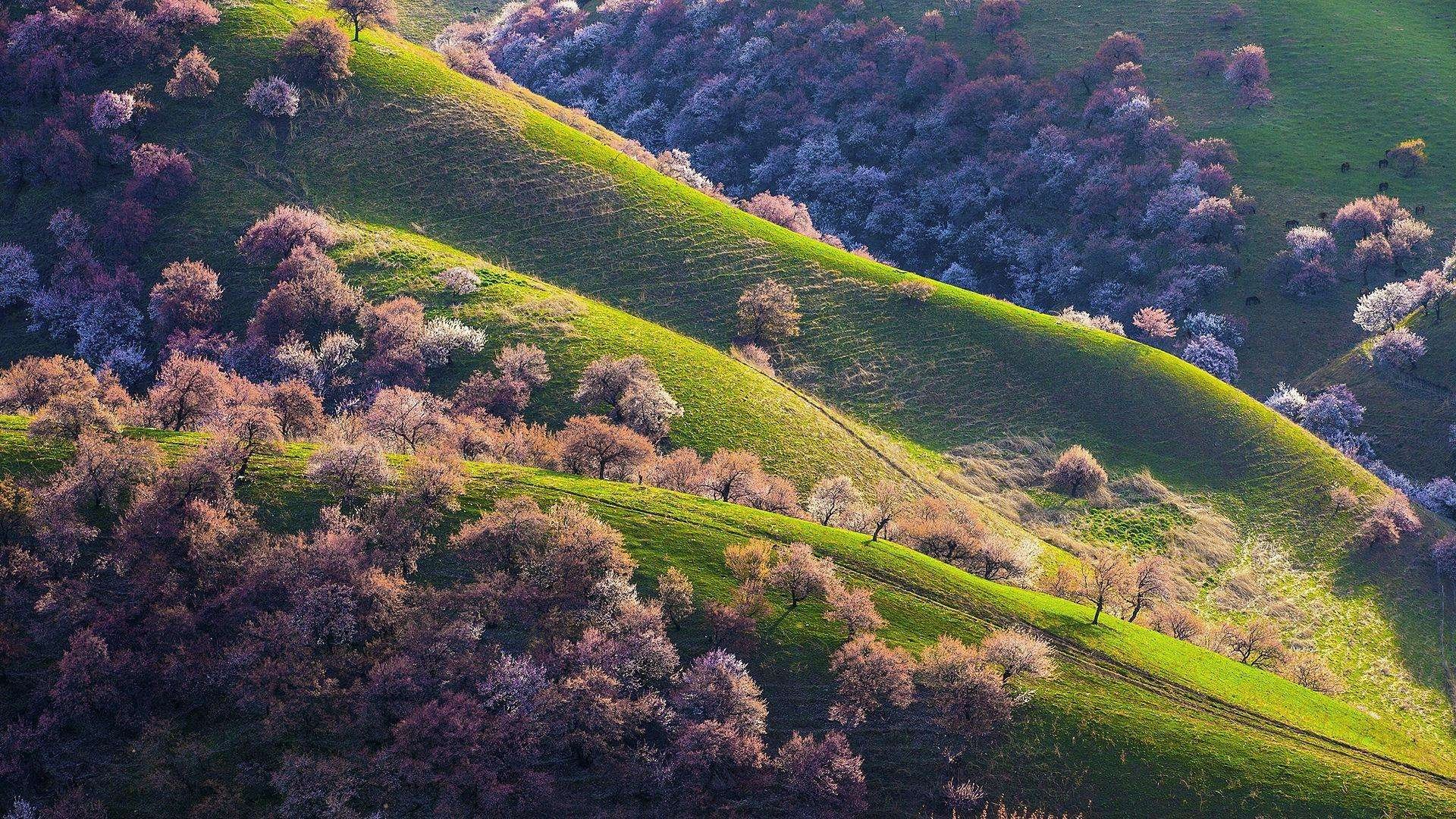 Aerial China Background