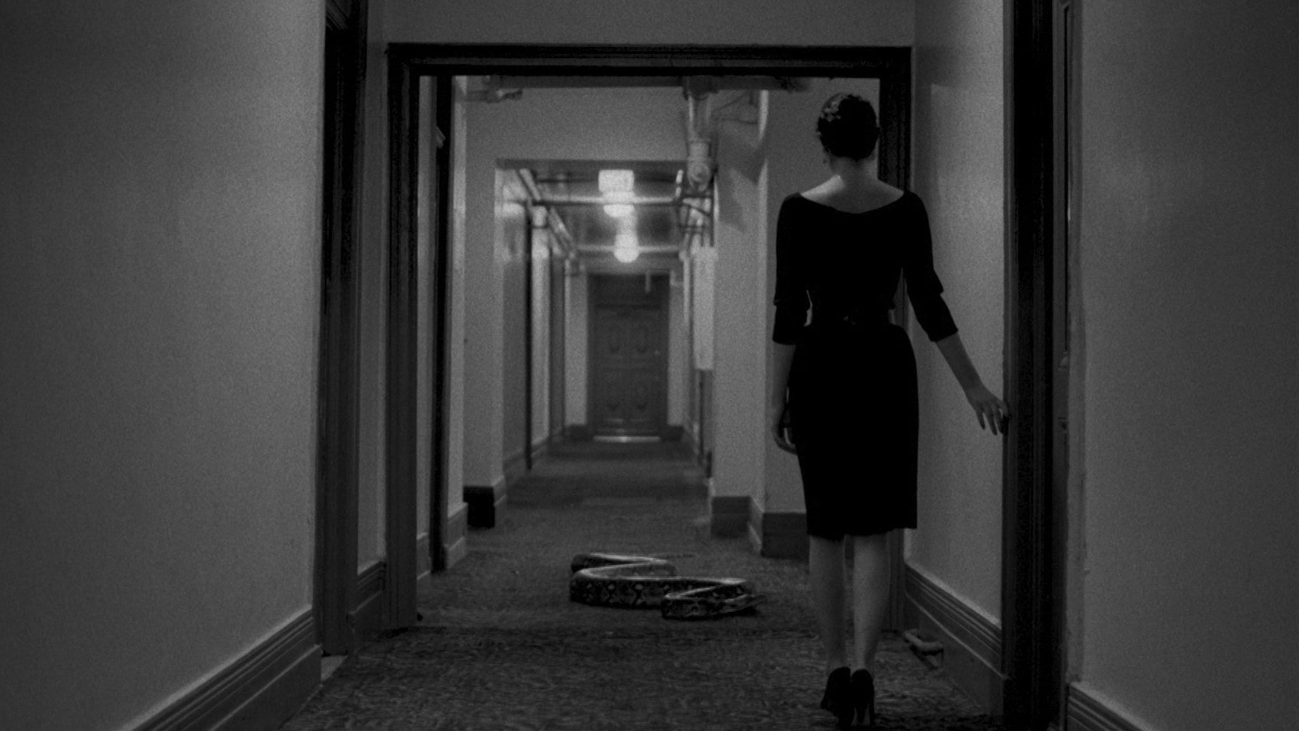 Phantom Love Background