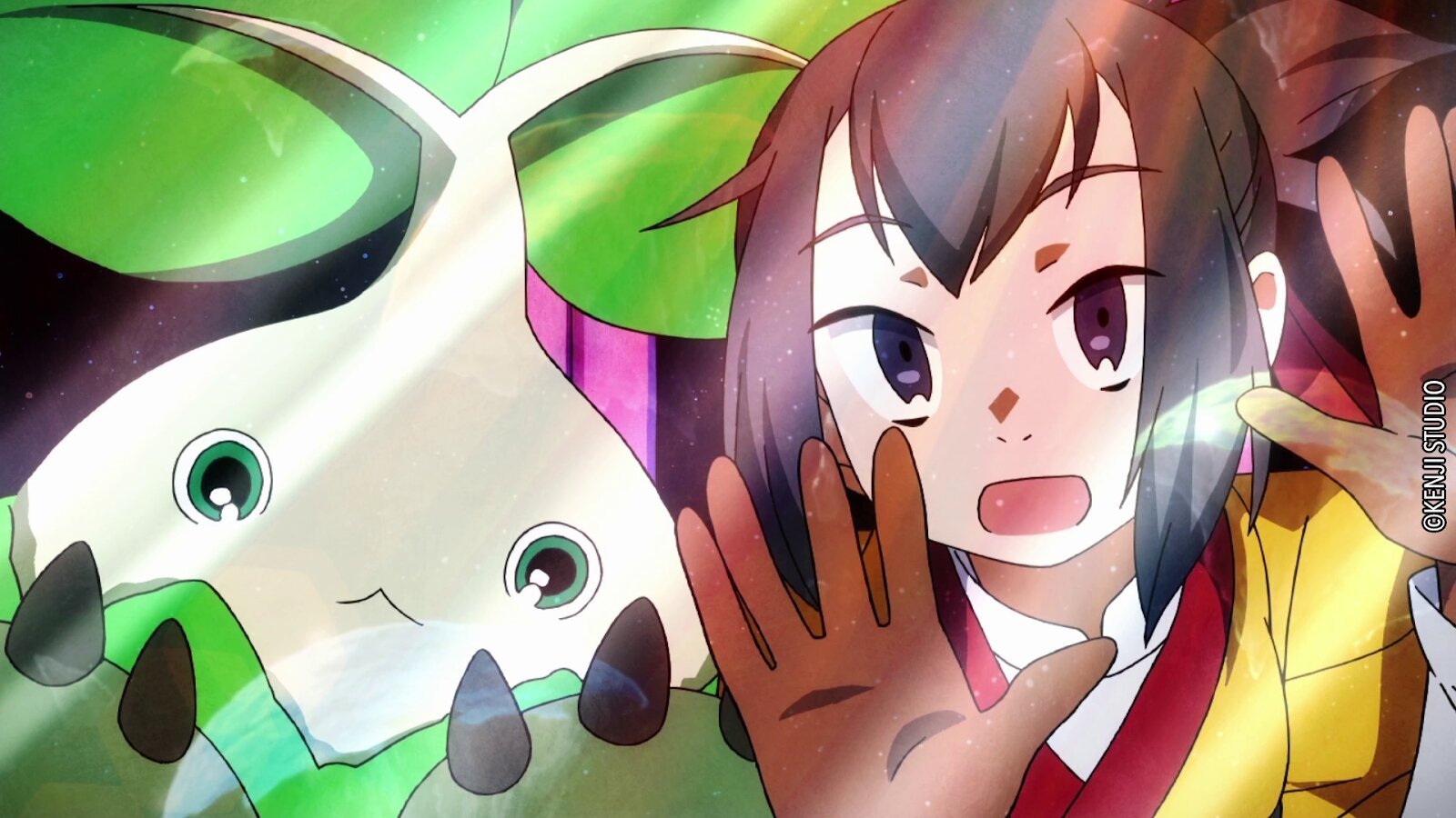 Coluboccoro Background