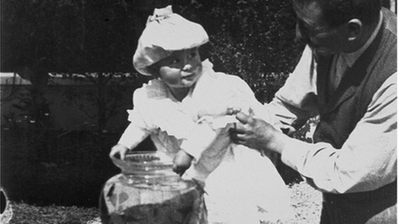 Fishing for Goldfish Background