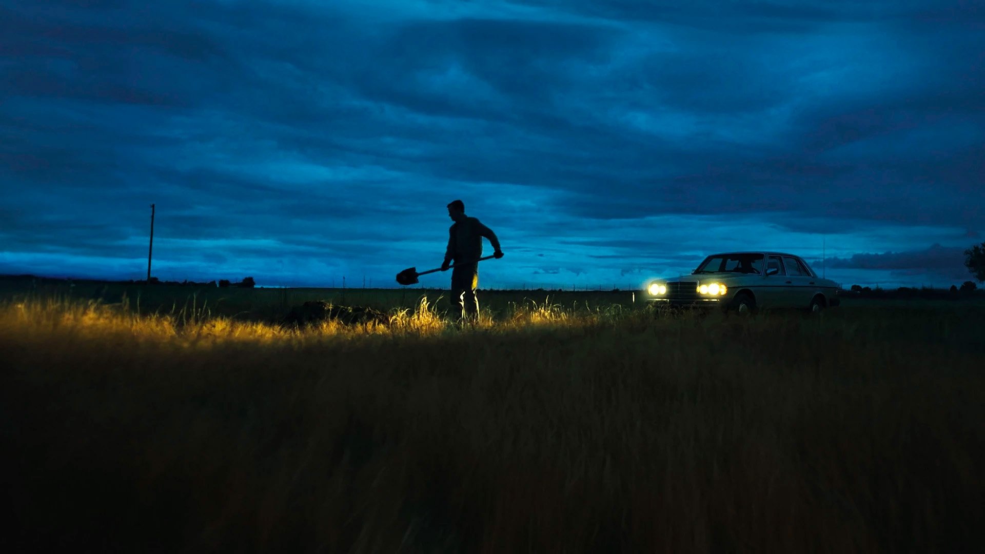 LaRoy, Texas Background