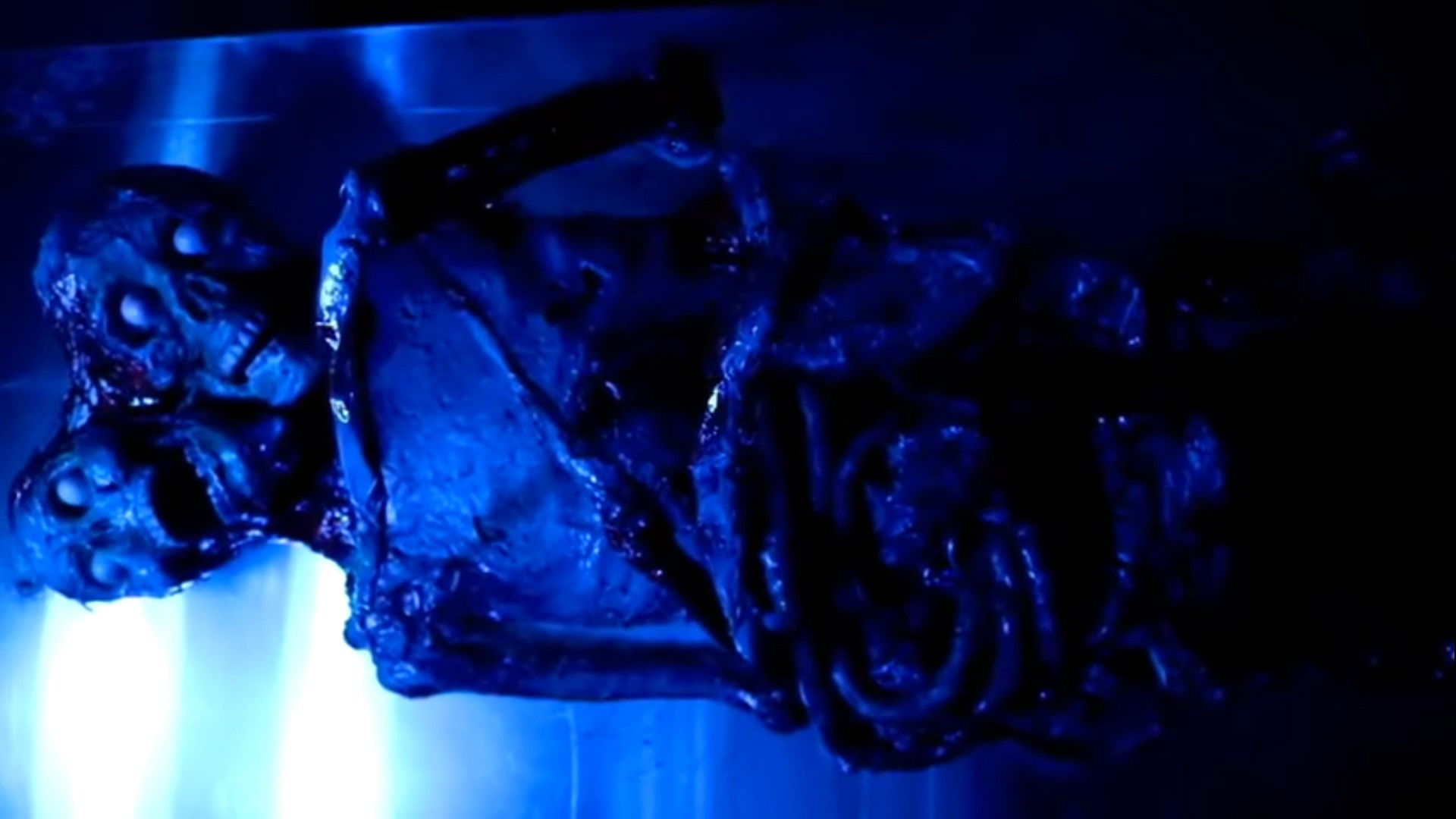 Teratomorph Background