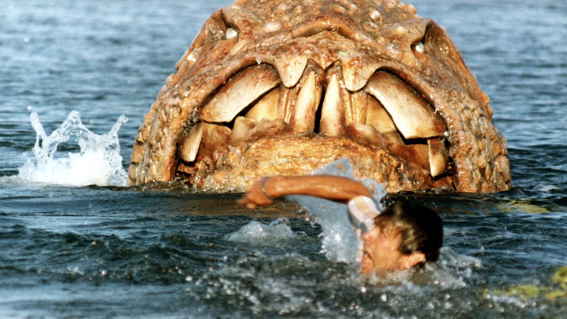 Devil Fish Background