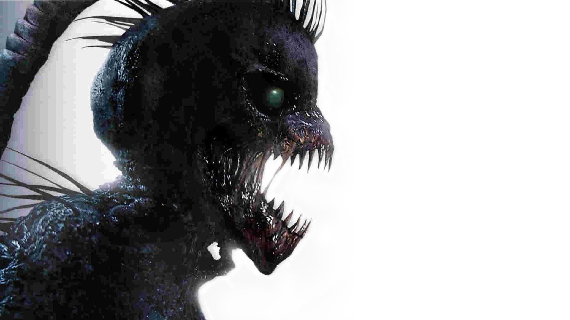 The Blackout Background