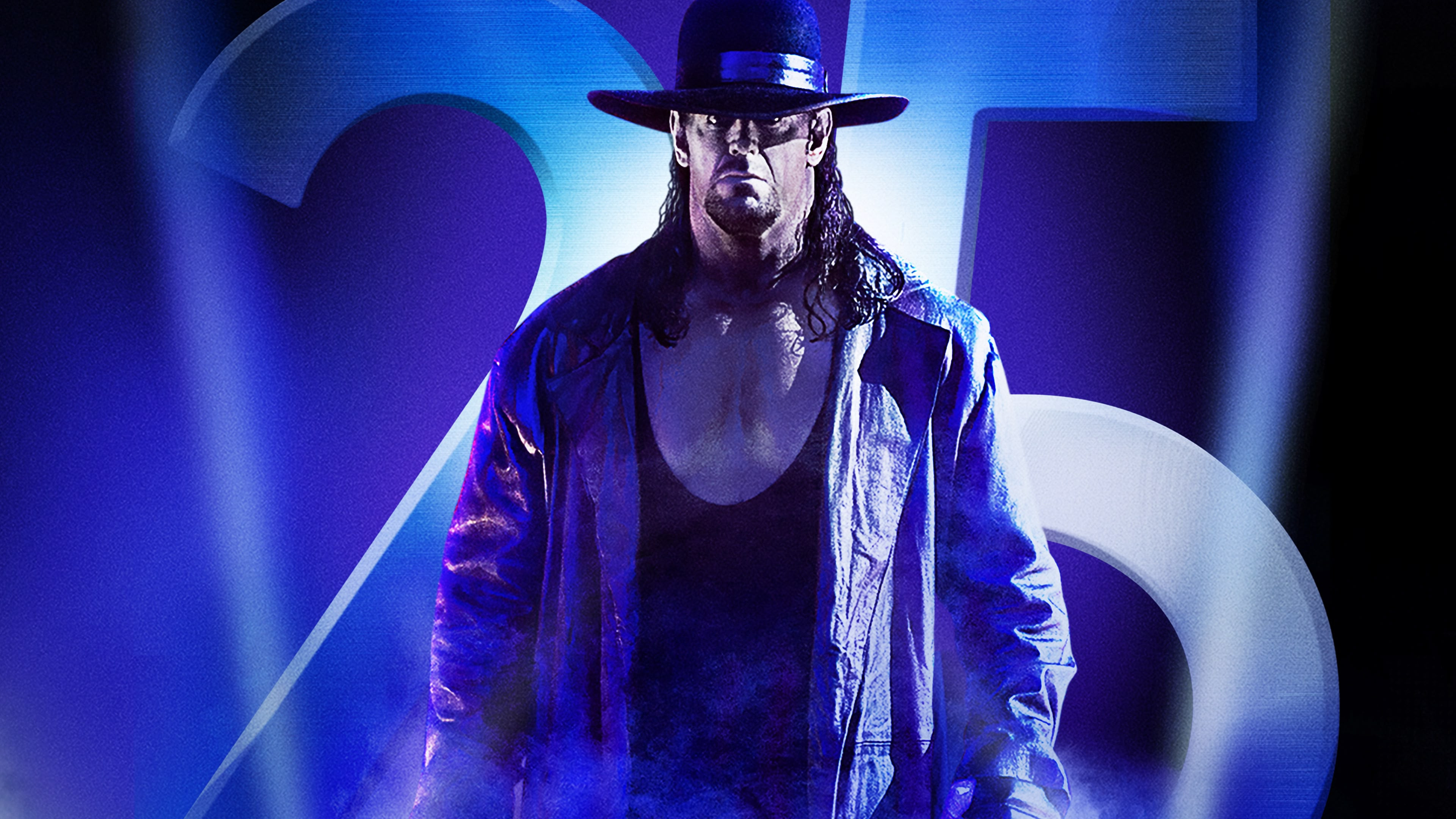 WWE Survivor Series 2015 Background