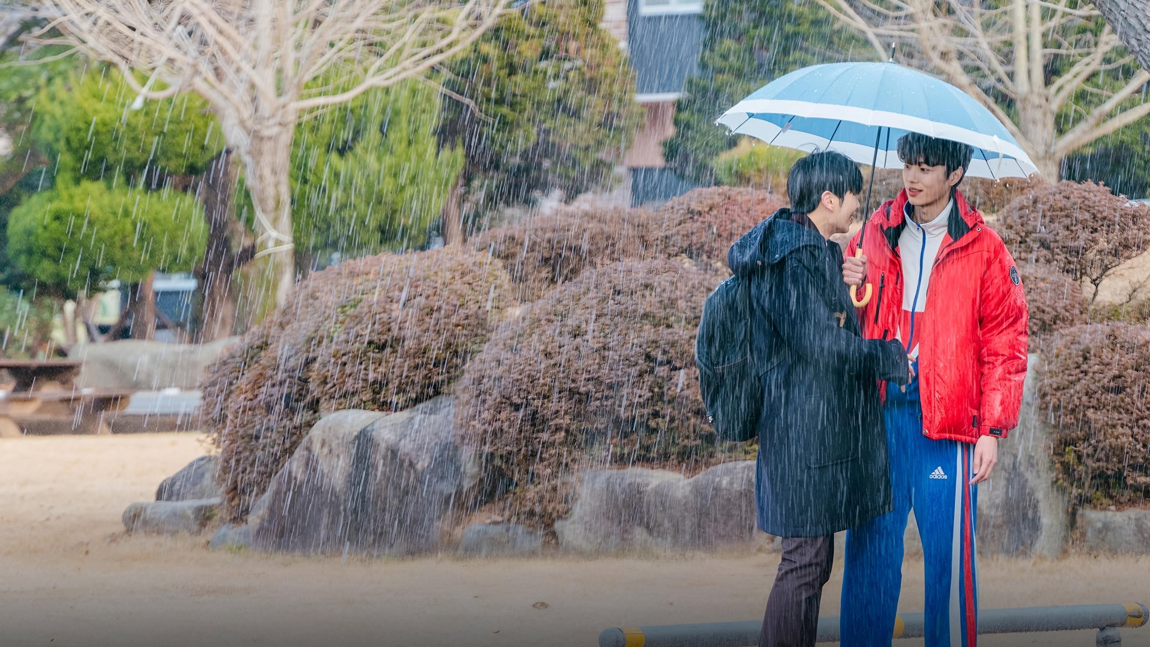 Let Free the Curse of Taekwondo Background