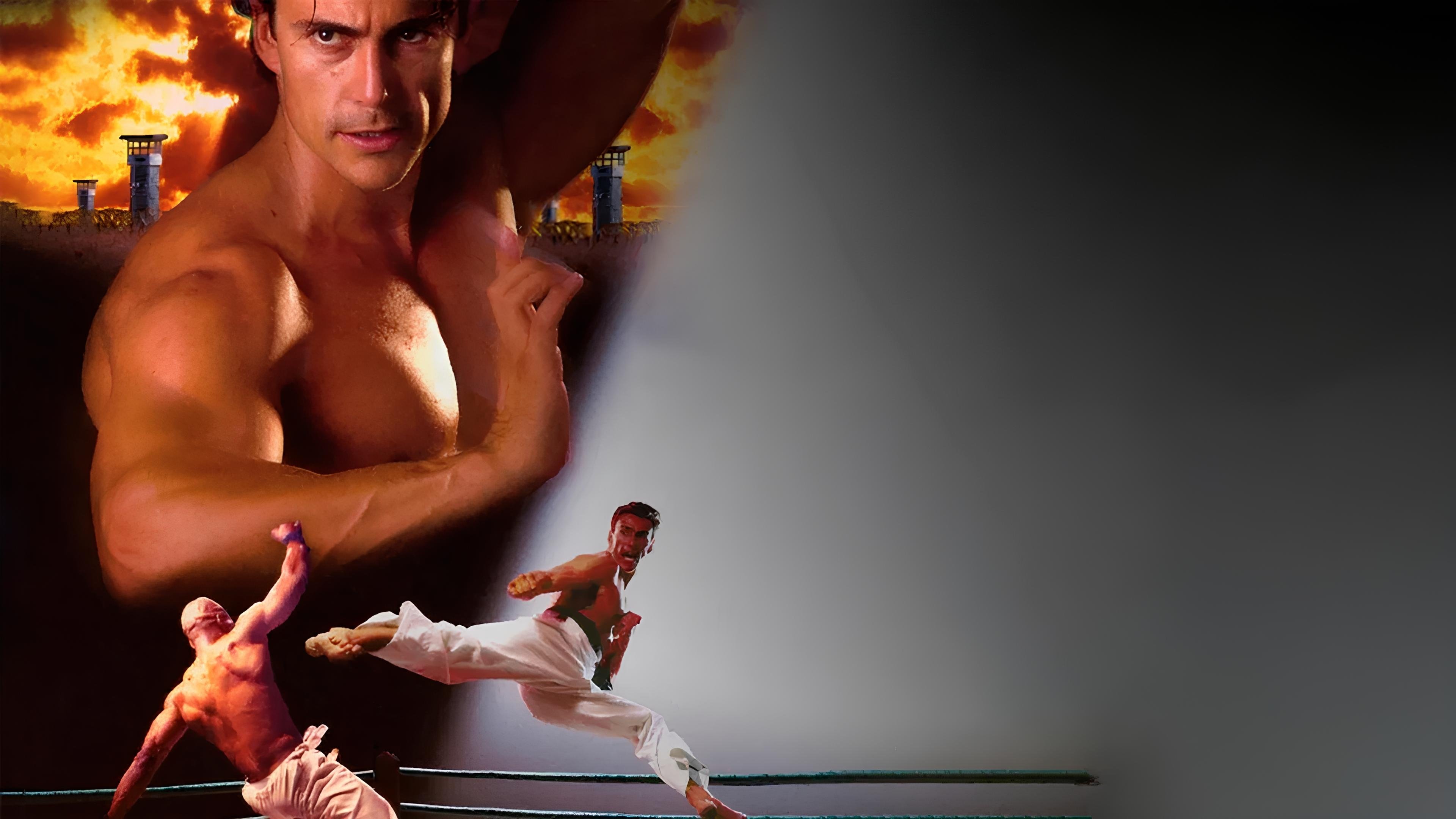 Bloodsport: The Dark Kumite Background