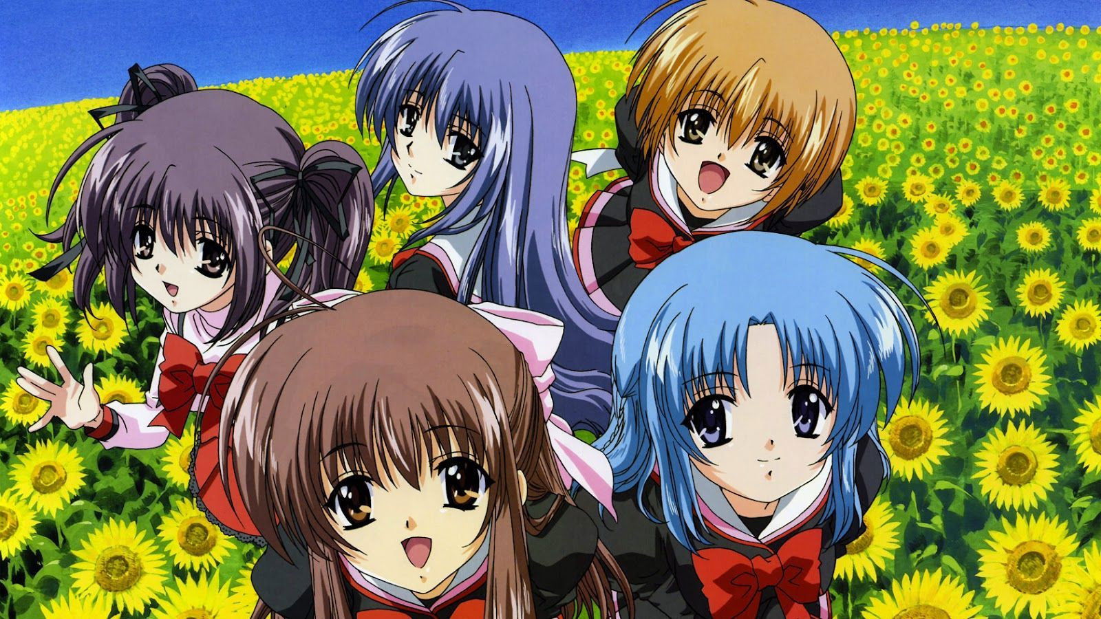 Final Approach Background