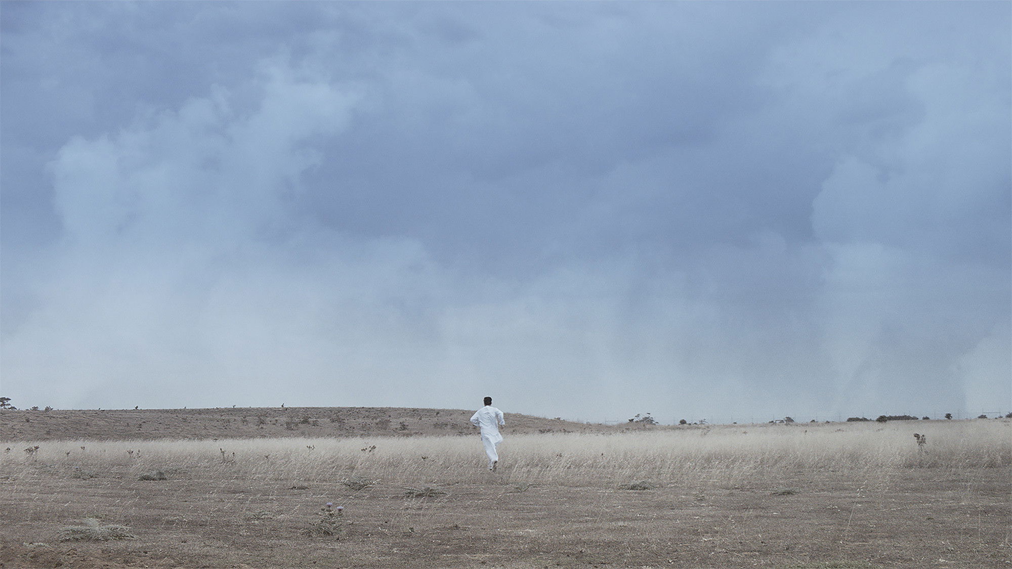 Ahmad's Garden Background