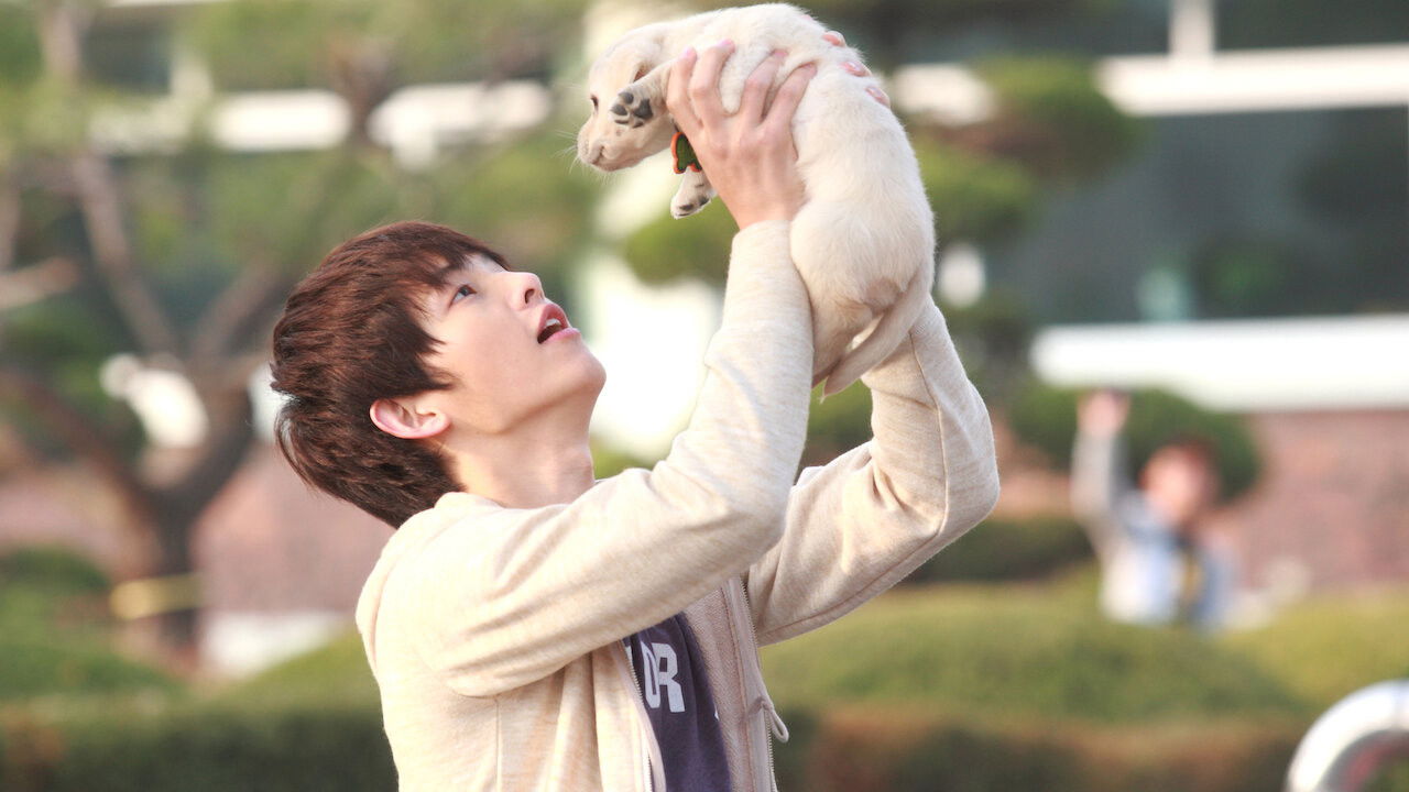 Hearty Paws 2 Background