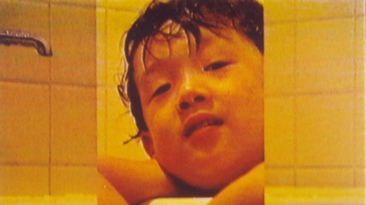 December Hide-and-Go-Seek Background