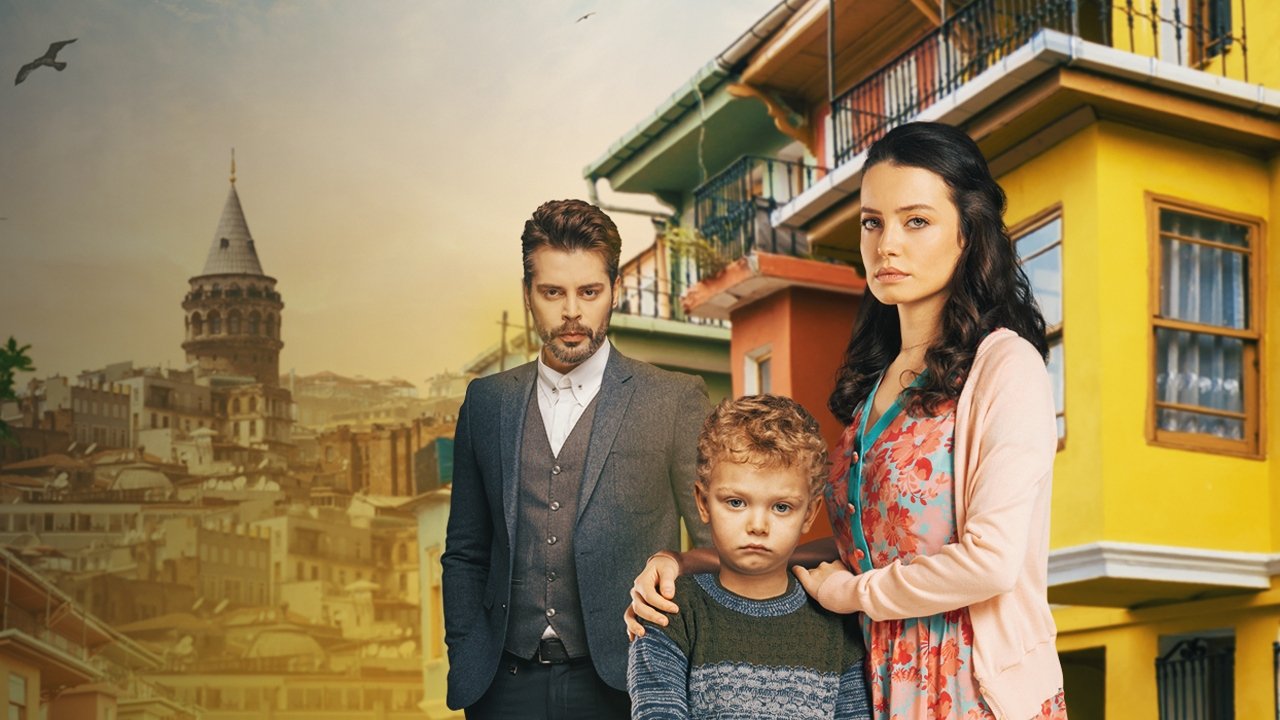 Wounded Birds Background