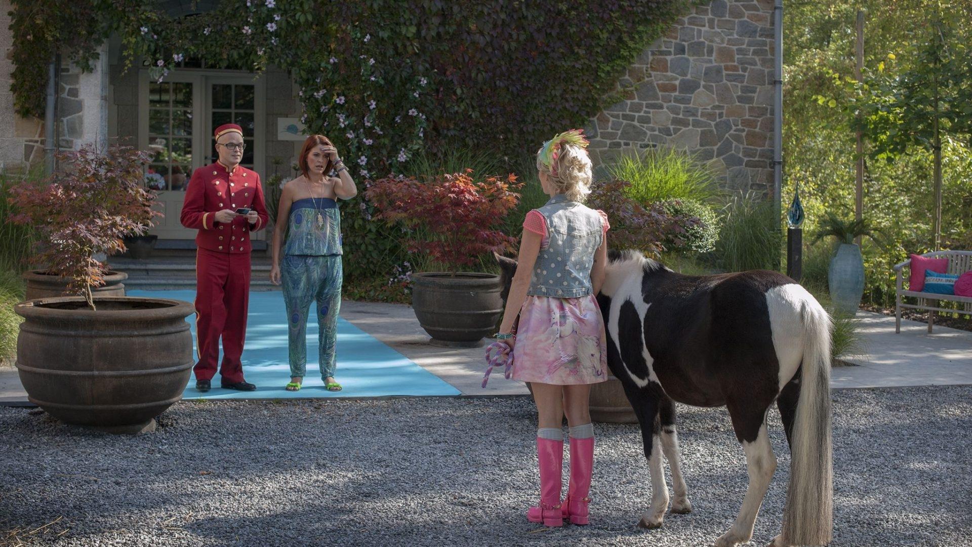 K3: Animal Hotel Background