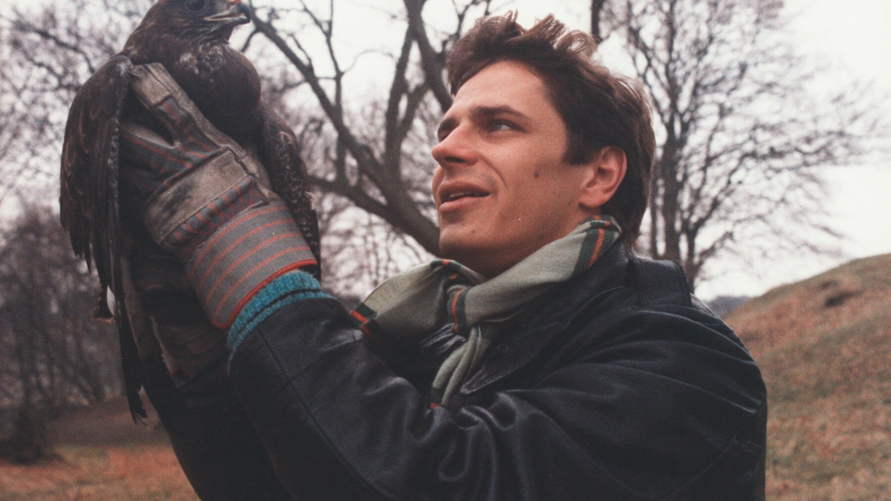 Thunderbirds Background