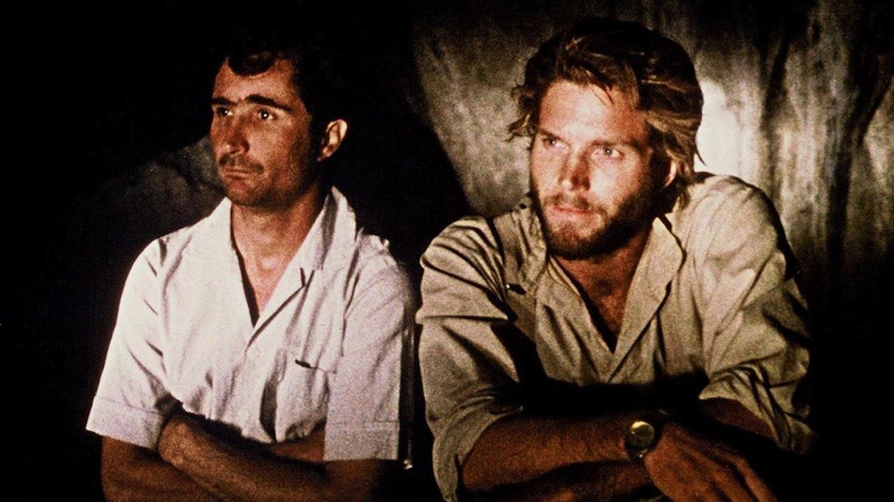 Cinema, Aspirins and Vultures Background