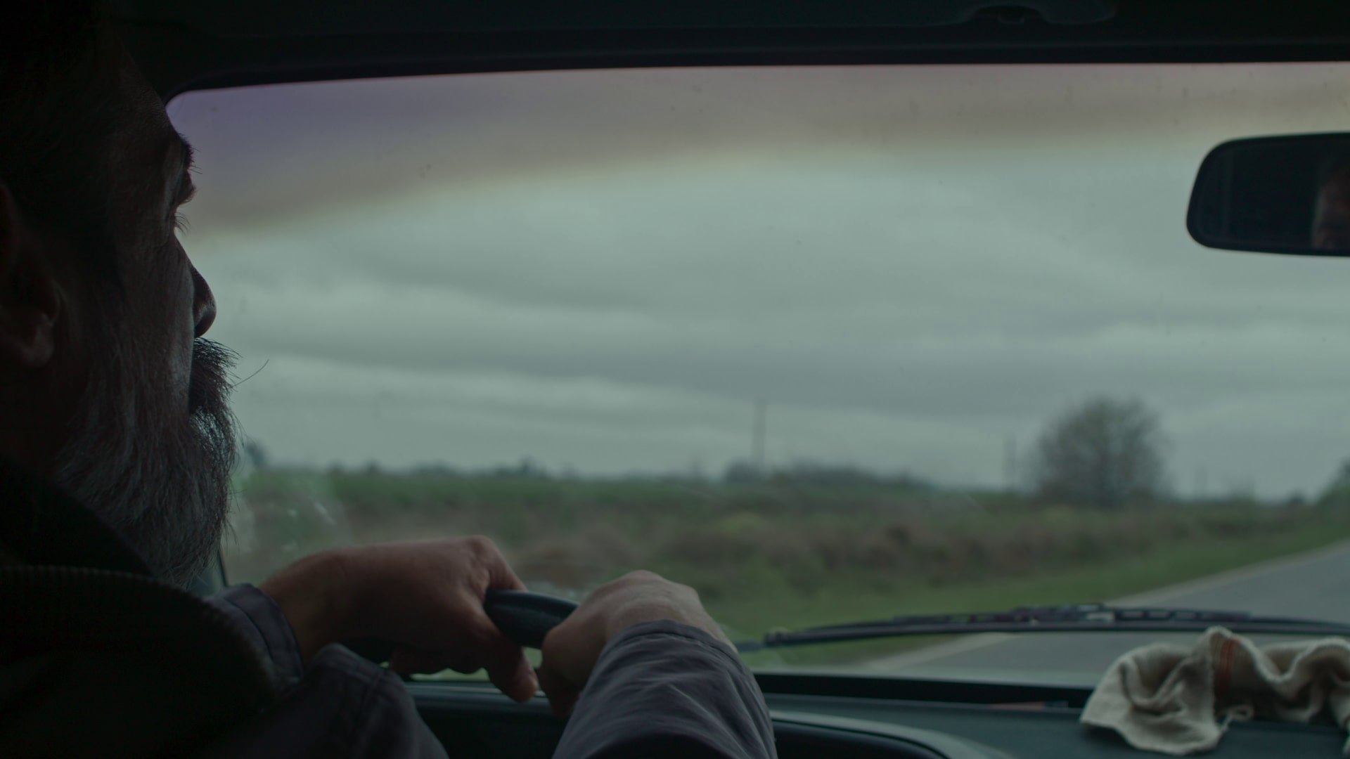 Carga animal Background