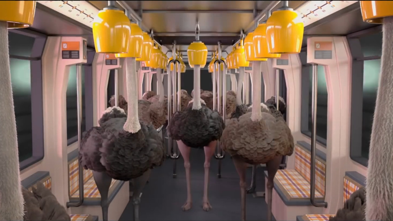 Ostrich Politic Background