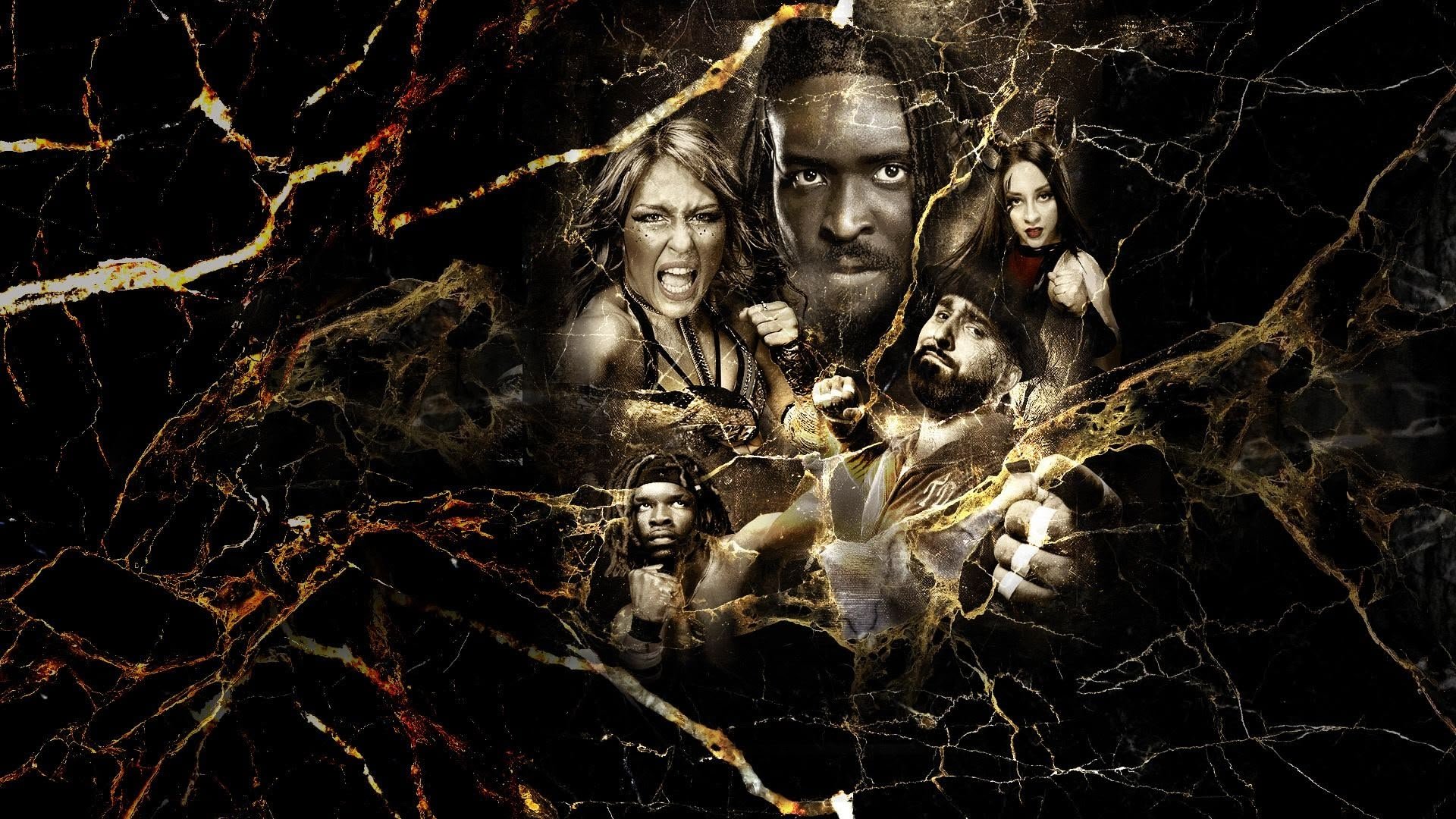 NXT Vengeance Day 2025 Background