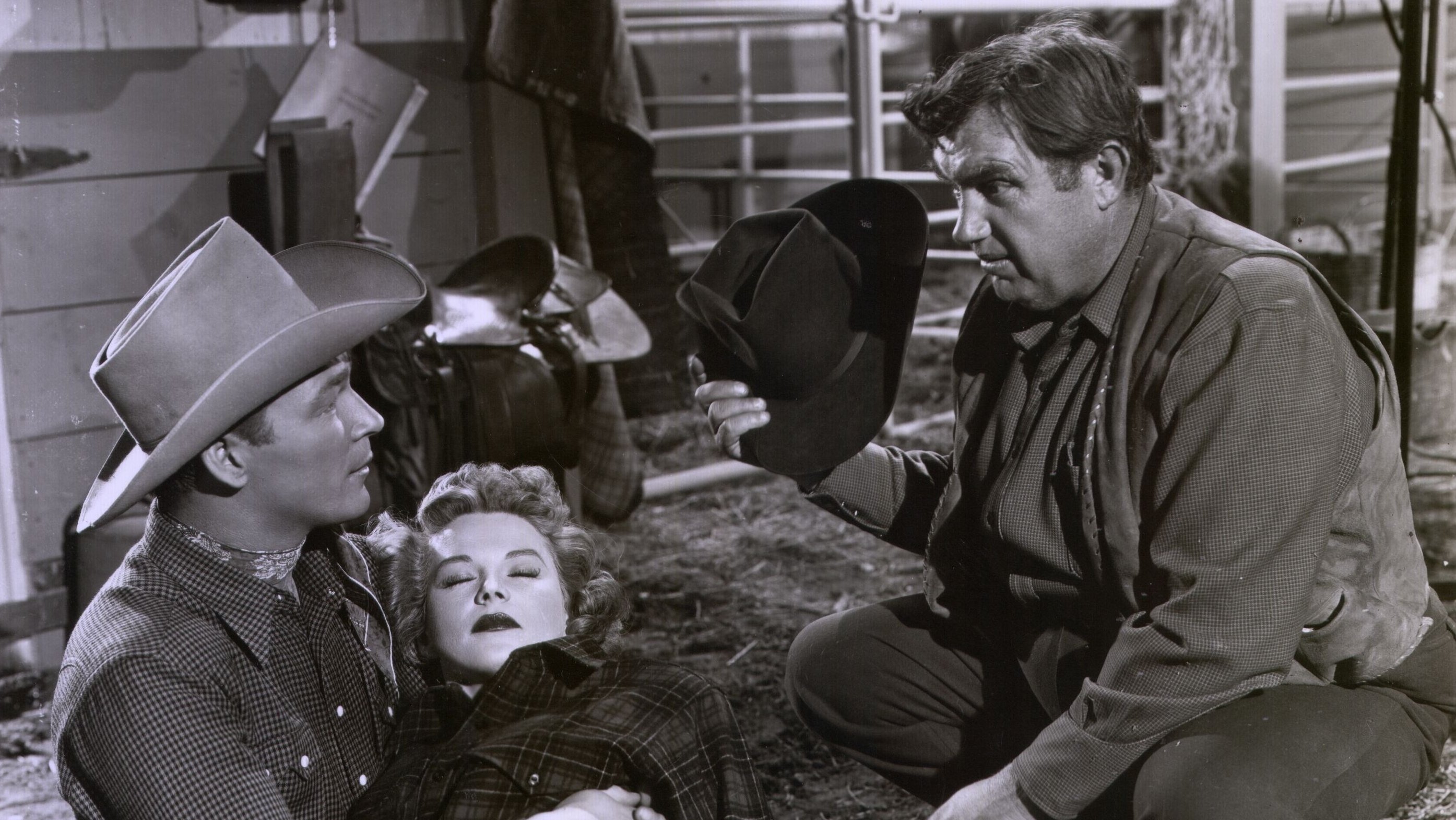 Under California Stars Background