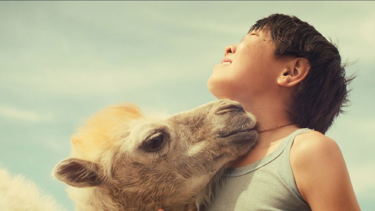 Celestial Camel Background