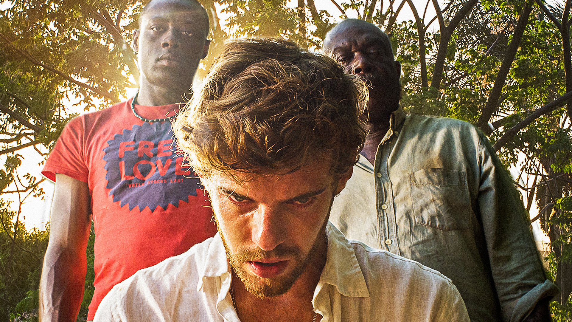 Flight of the Storks Background